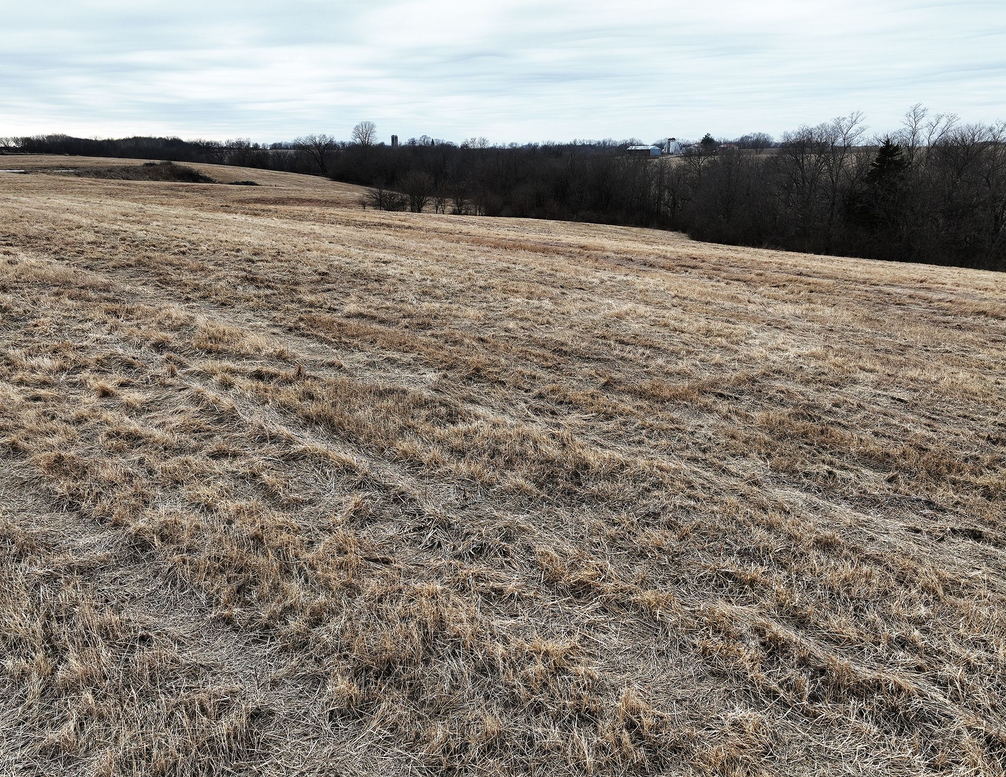 Listing Photo: DJI_0142