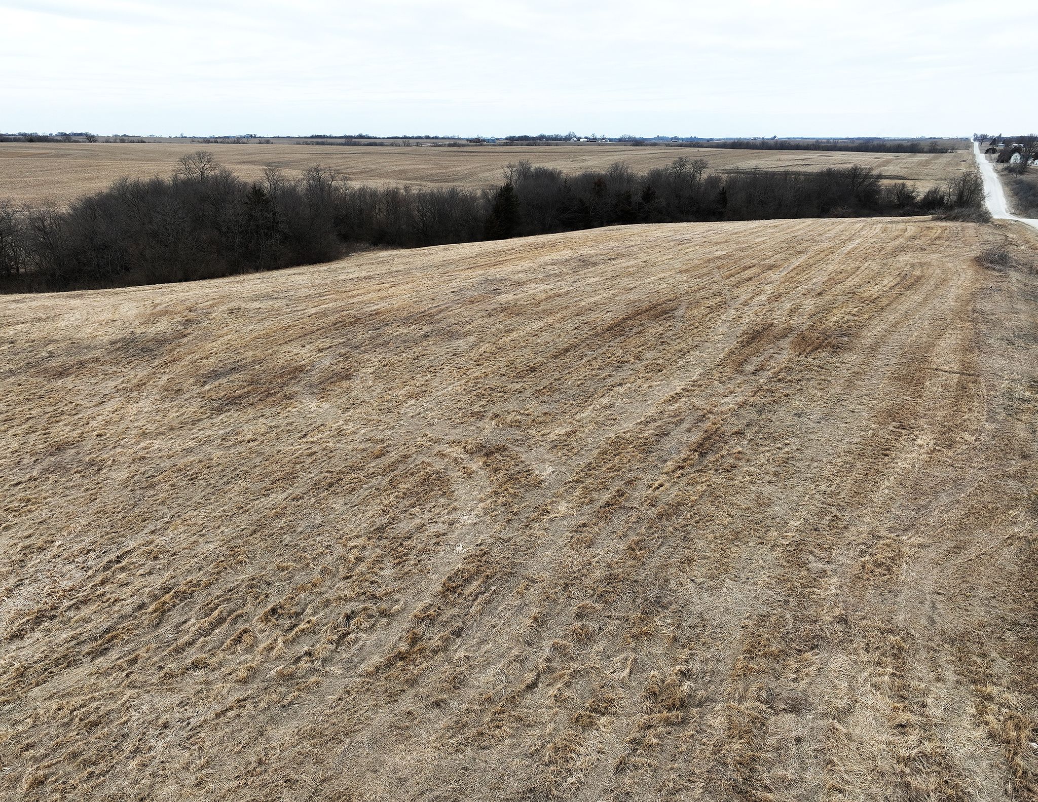 Listing Photo: DJI_0145