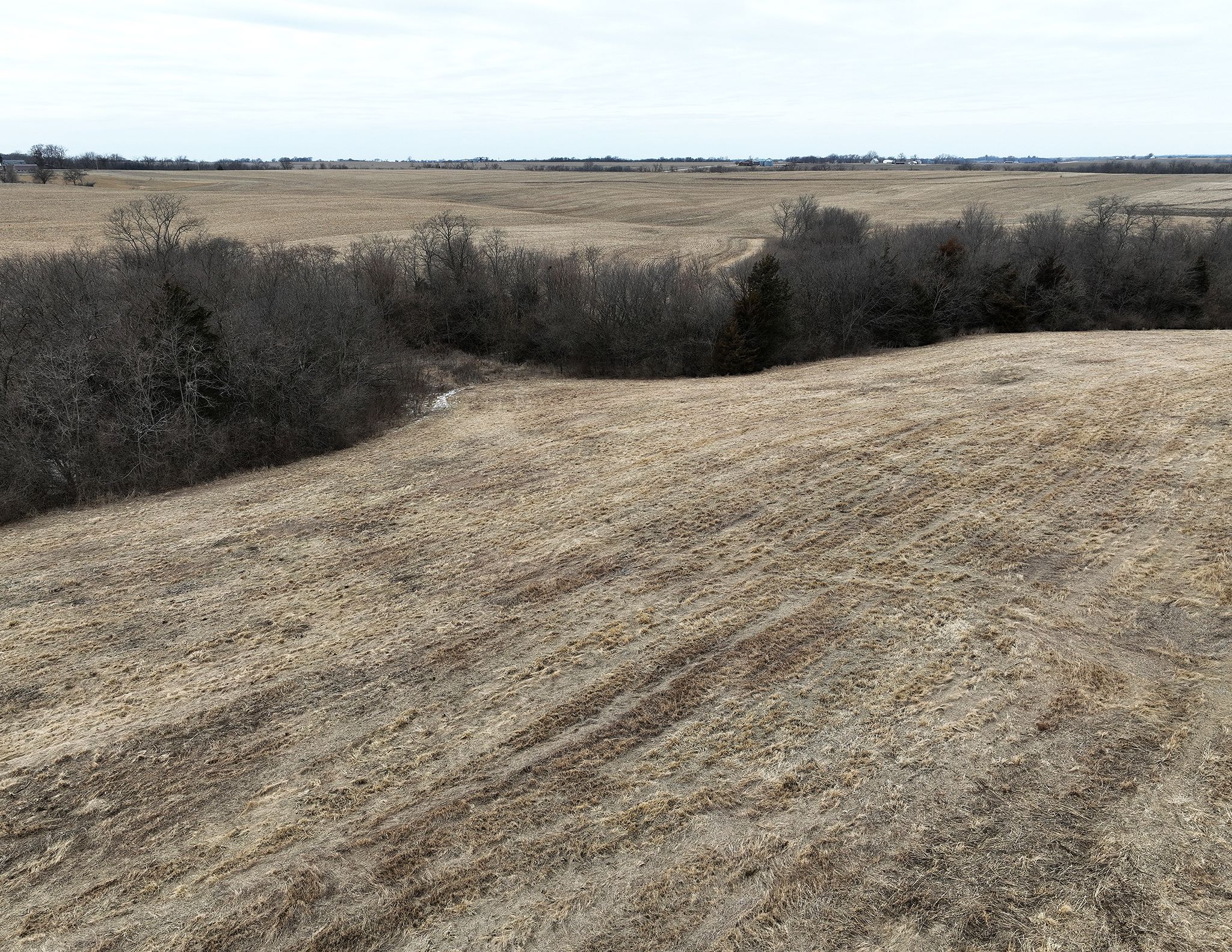 Listing Photo: DJI_0146