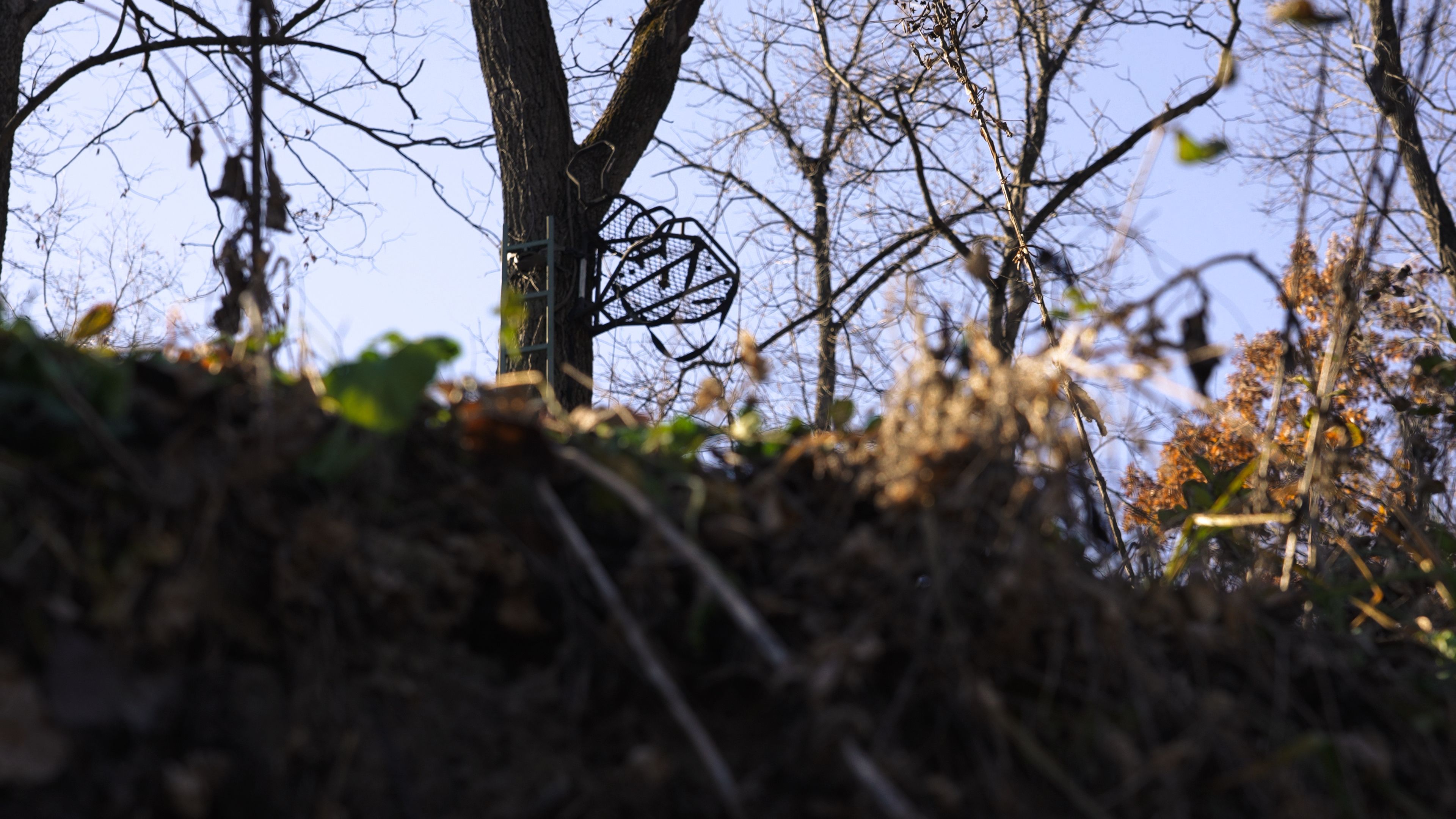 Listing Photo: C7910