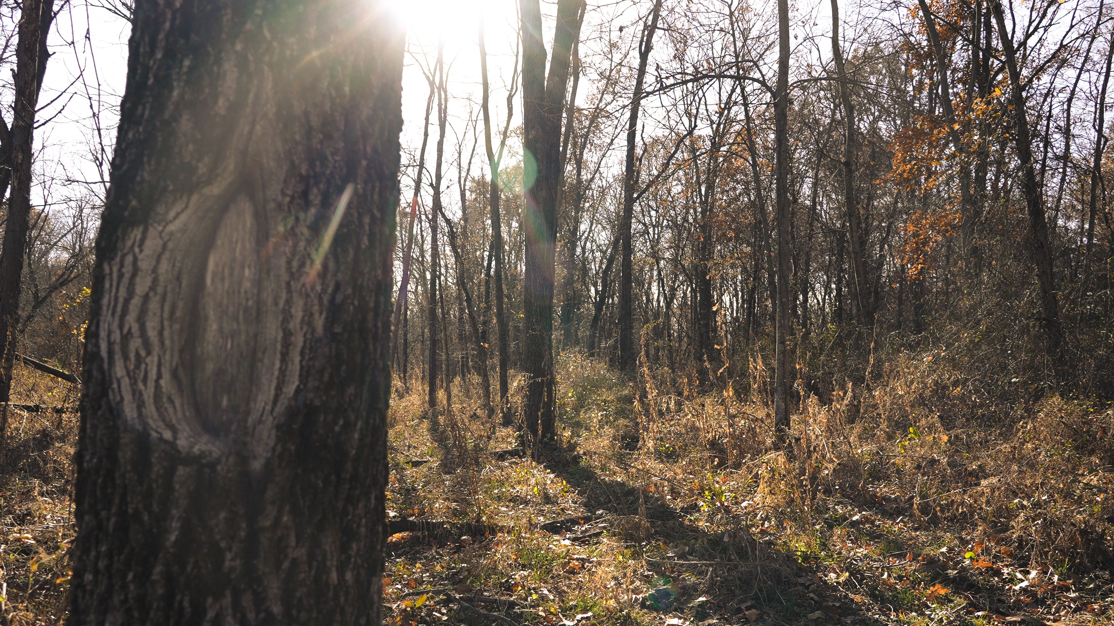 Listing Photo: C7911