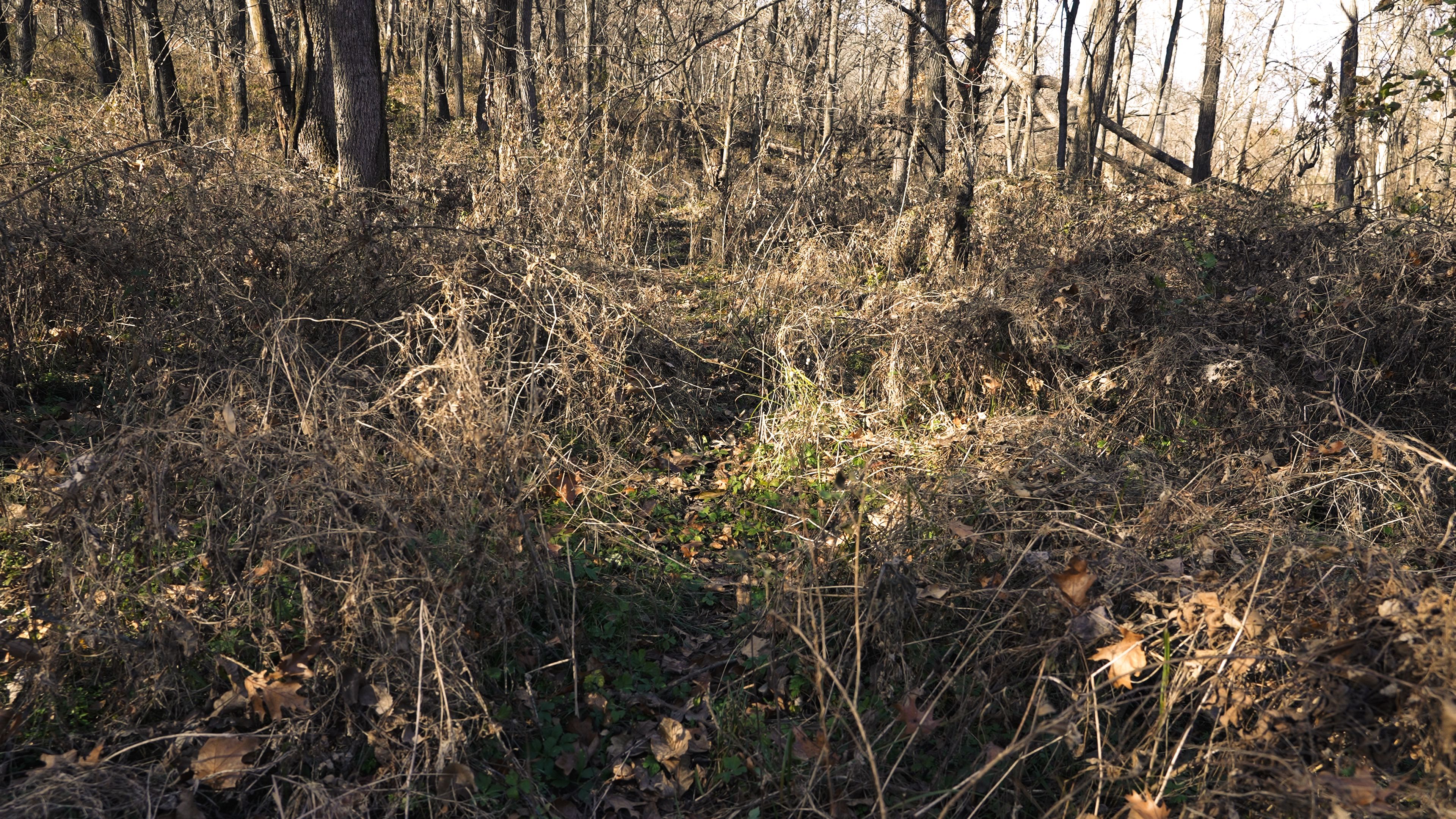 Listing Photo: C7913