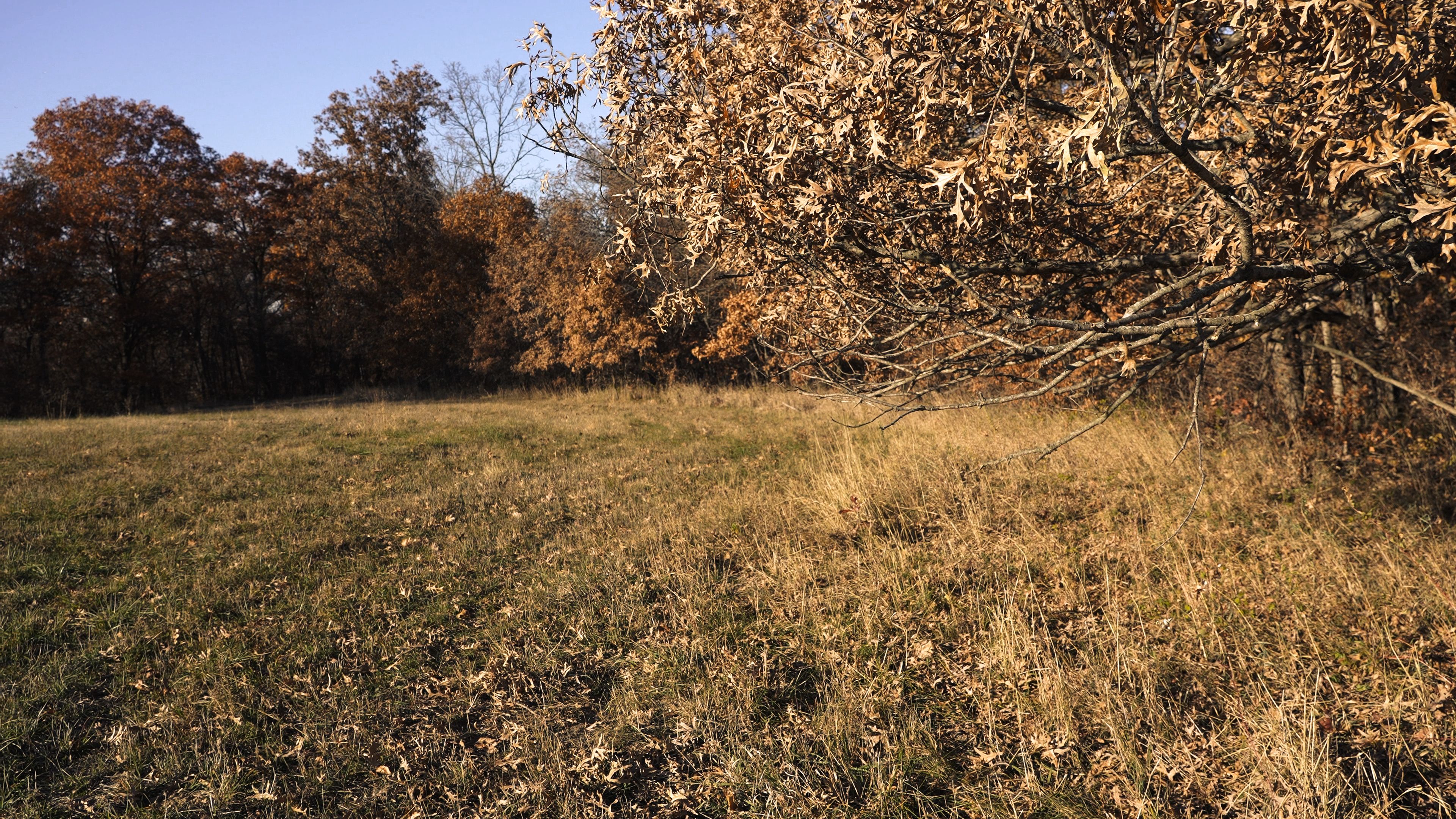 Listing Photo: C7936