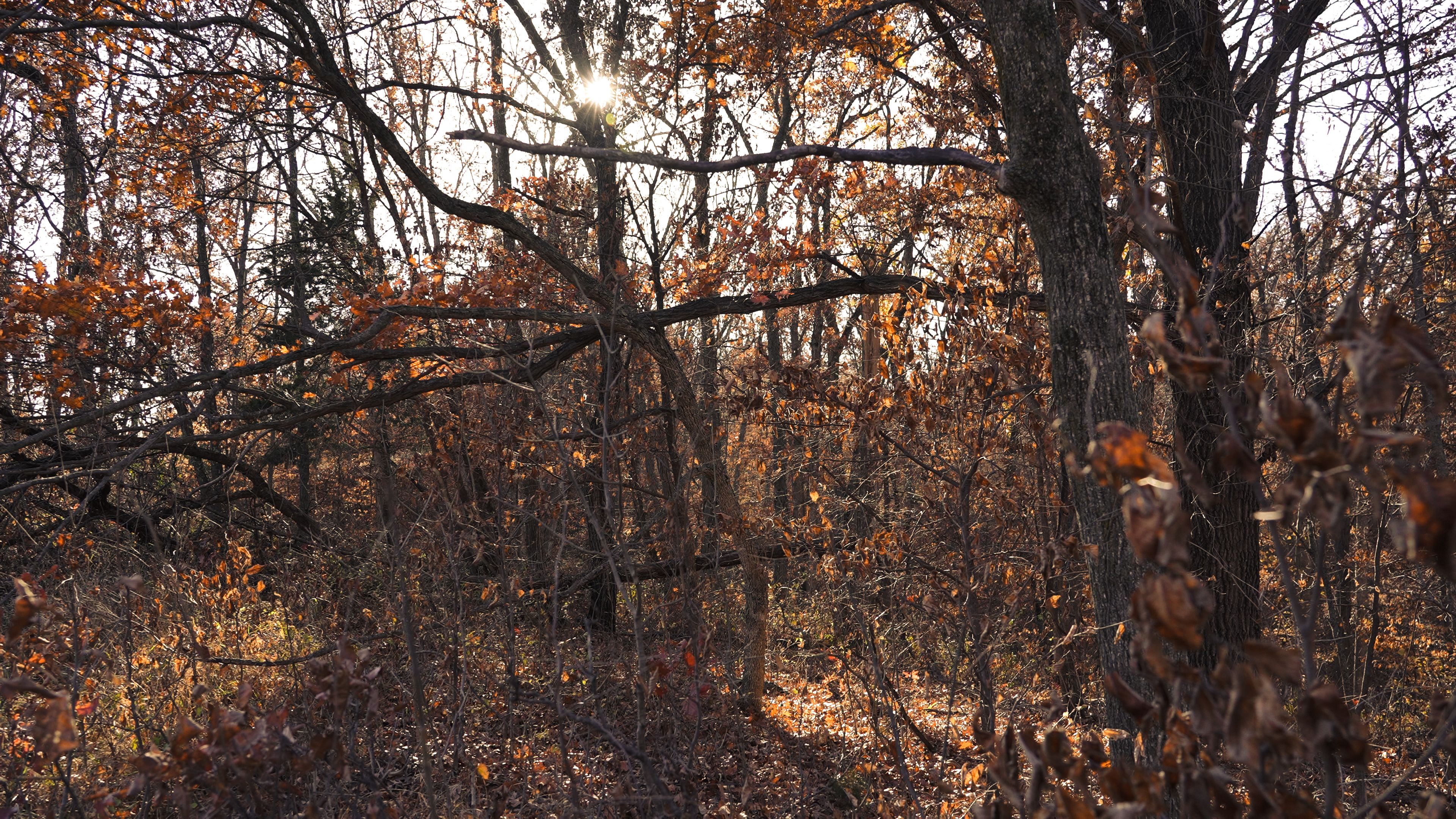 Listing Photo: C7938