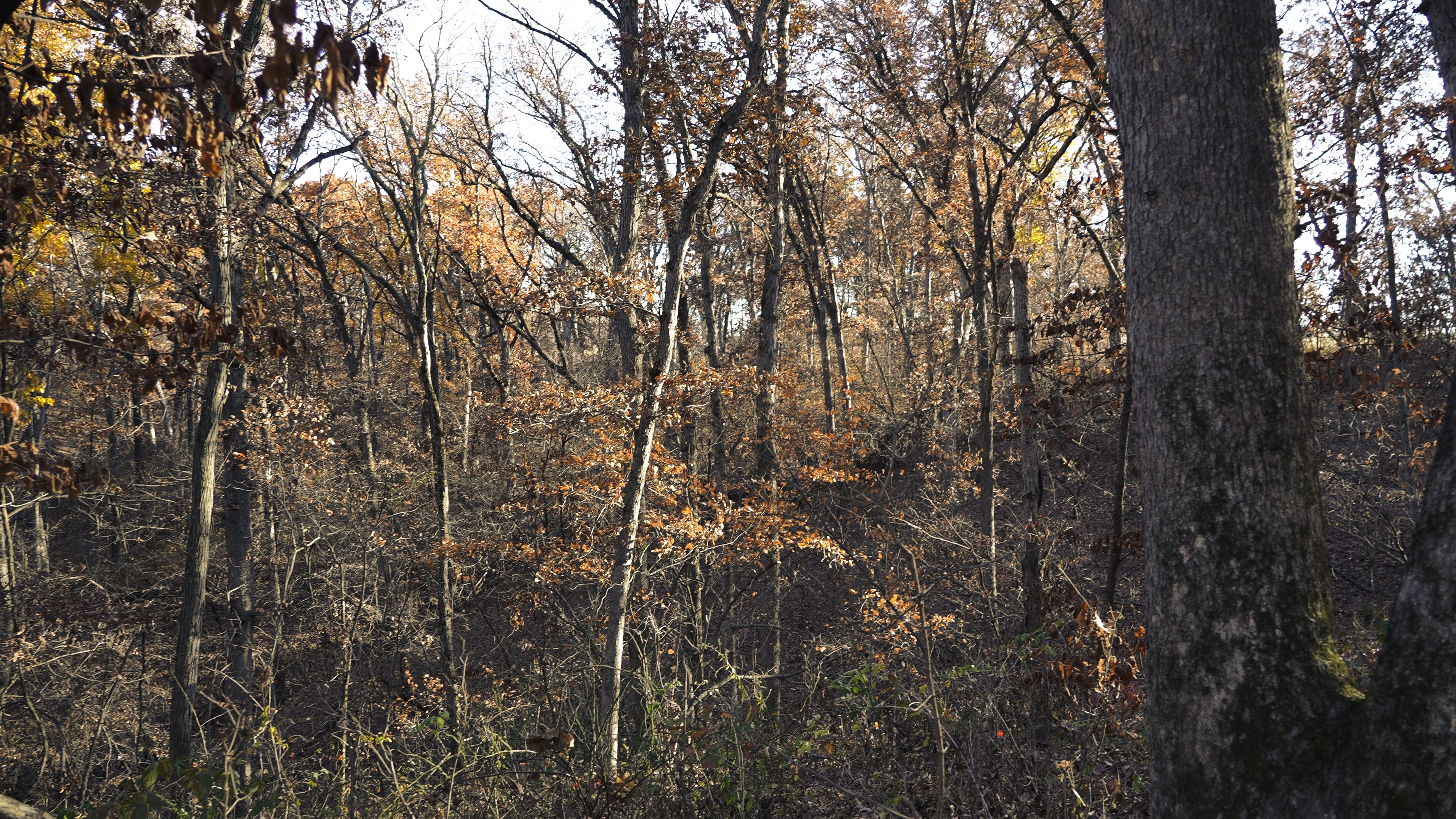 Listing Photo: C7939