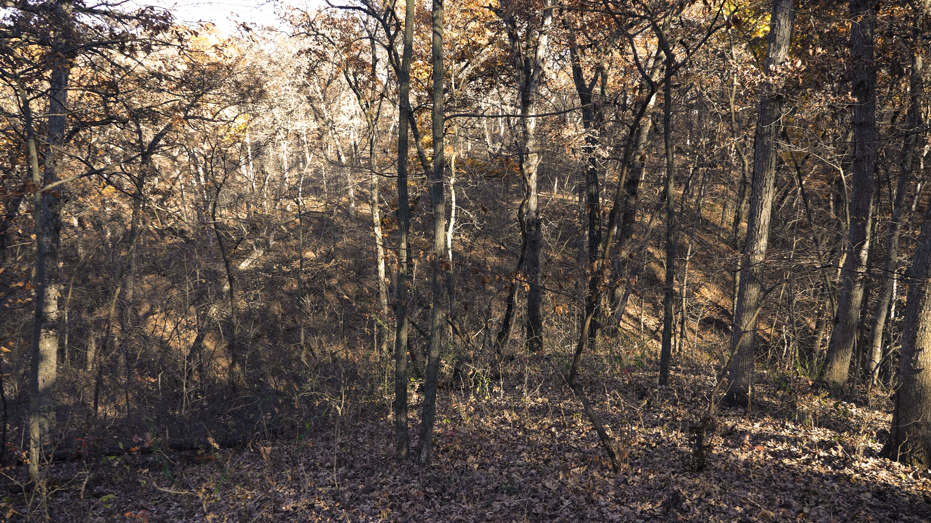 Listing Photo: C7940