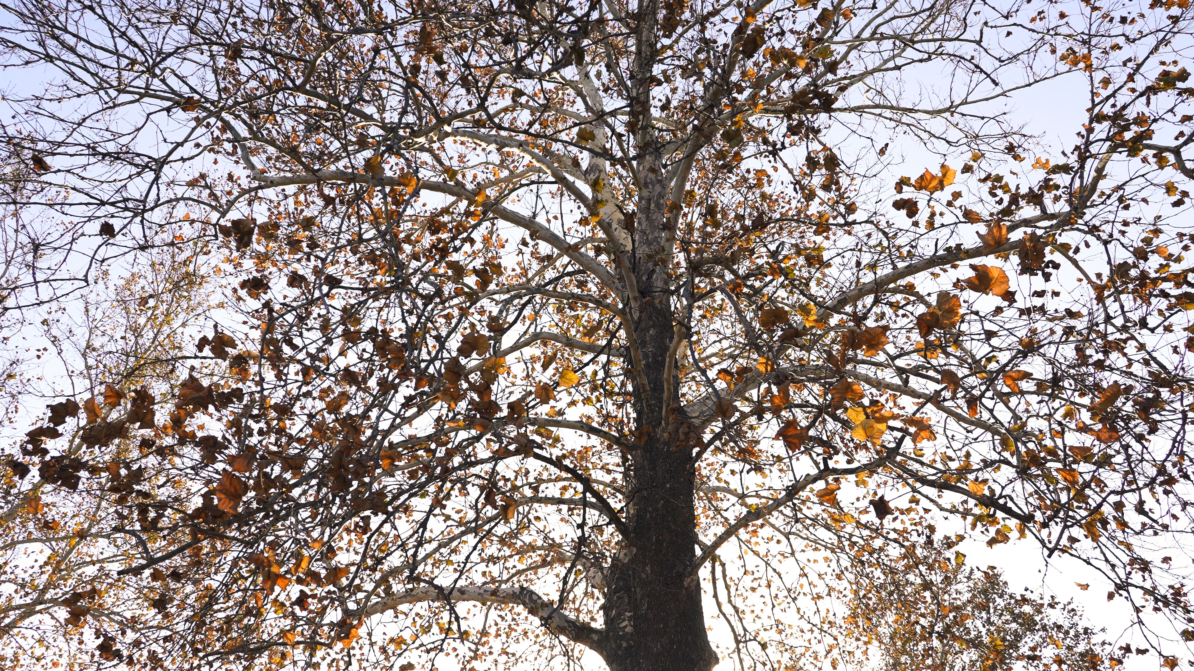 Listing Photo: C7949