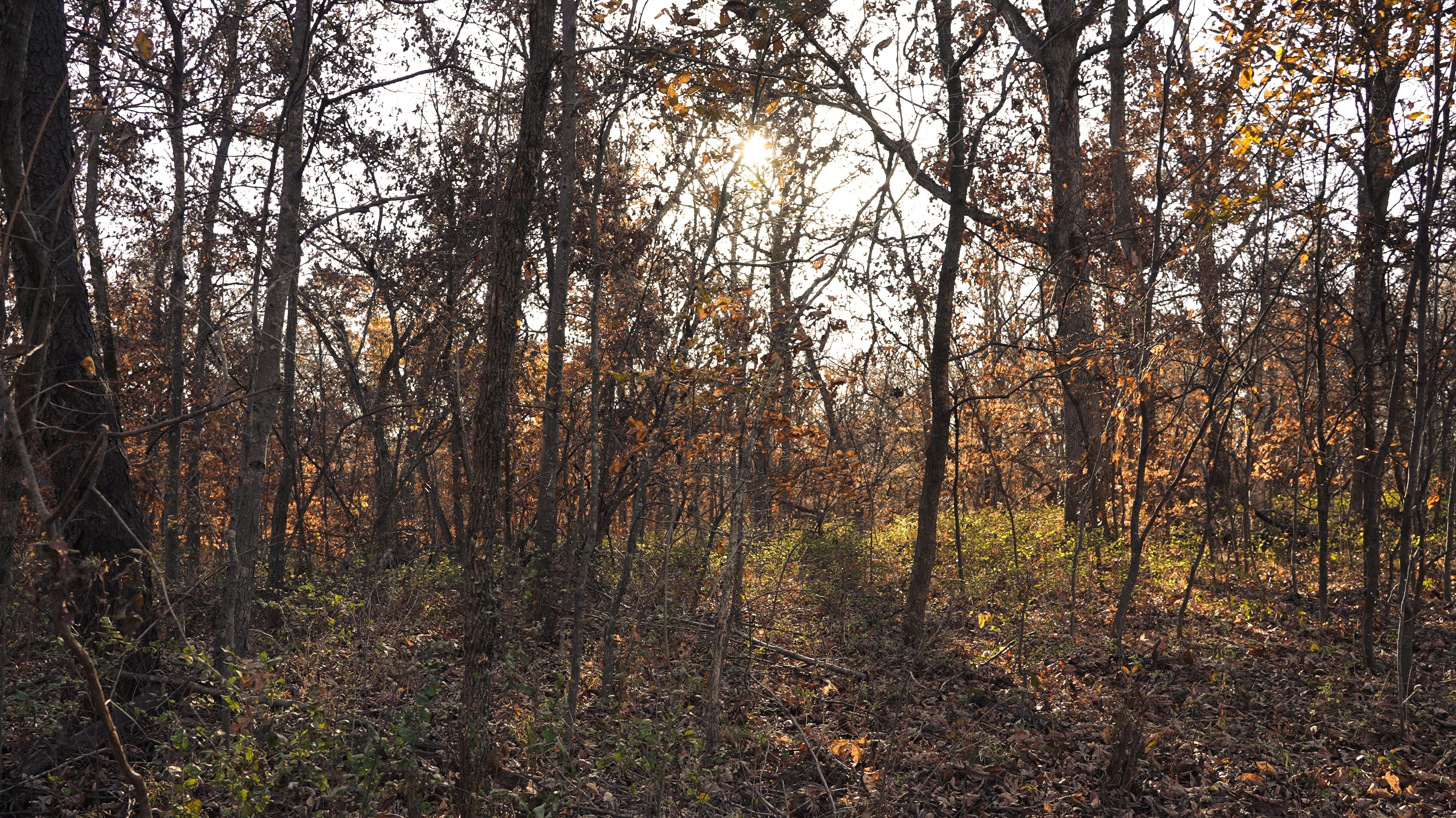 Listing Photo: C7955