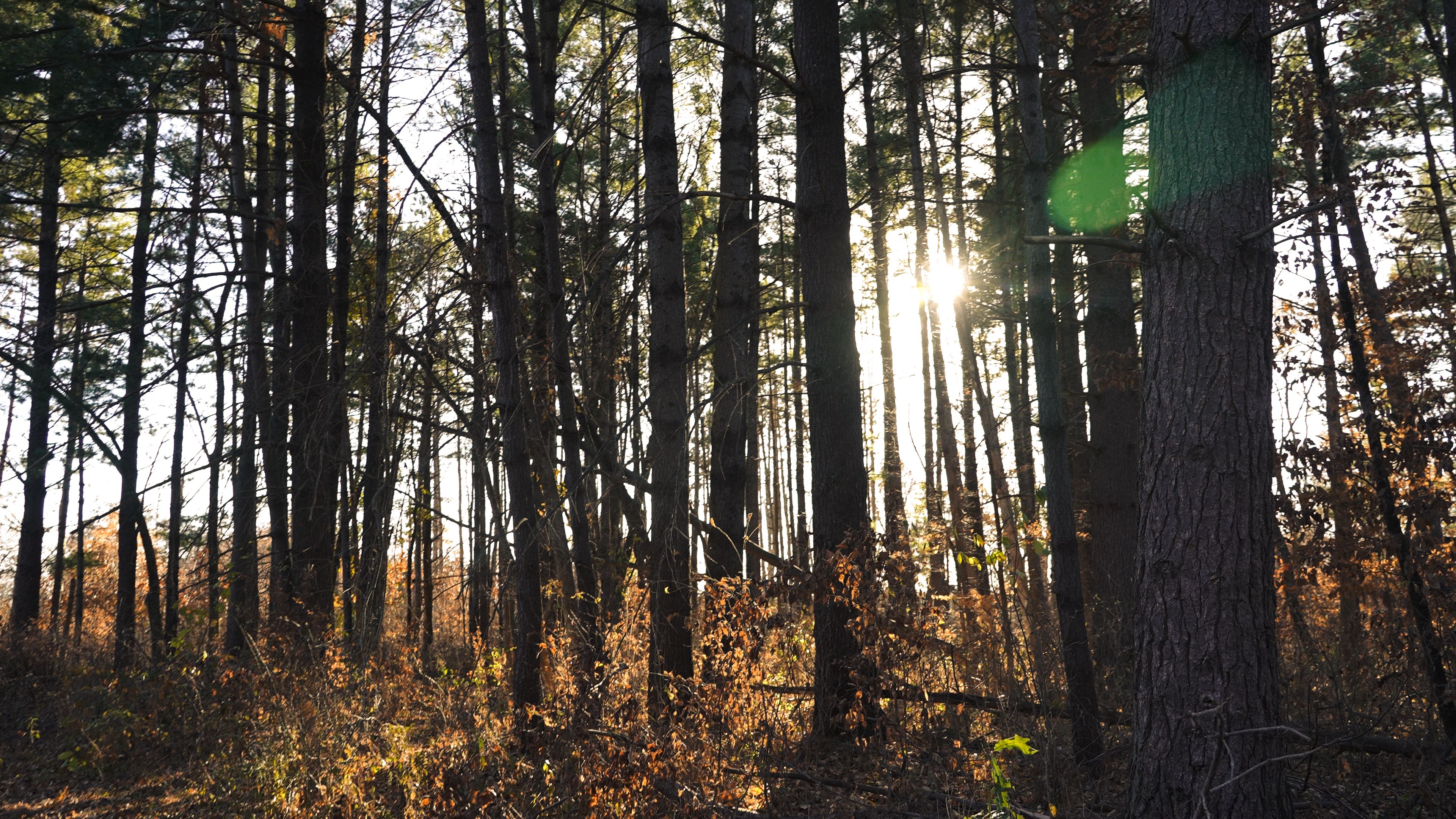 Listing Photo: C7956