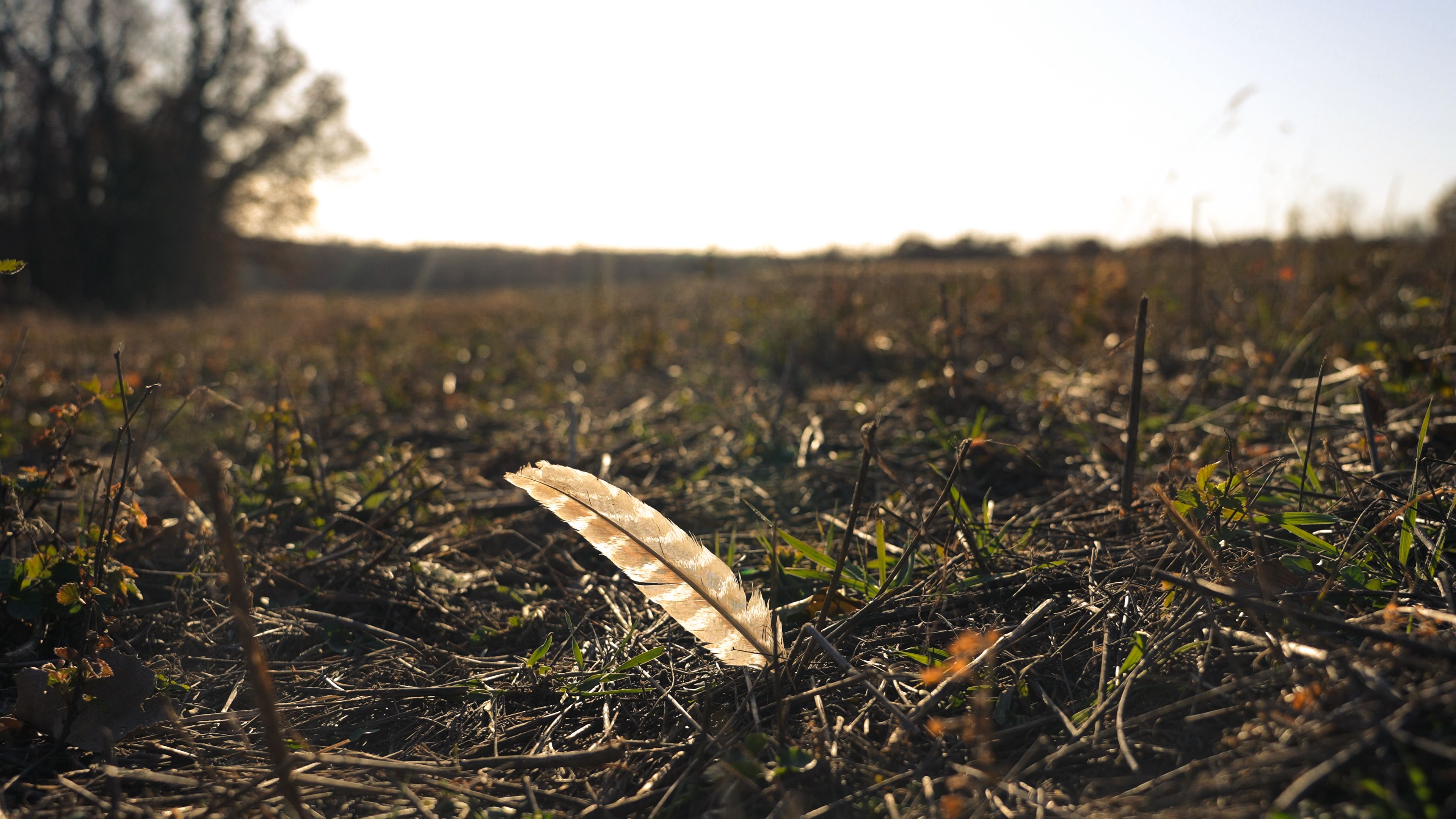 Listing Photo: C7958