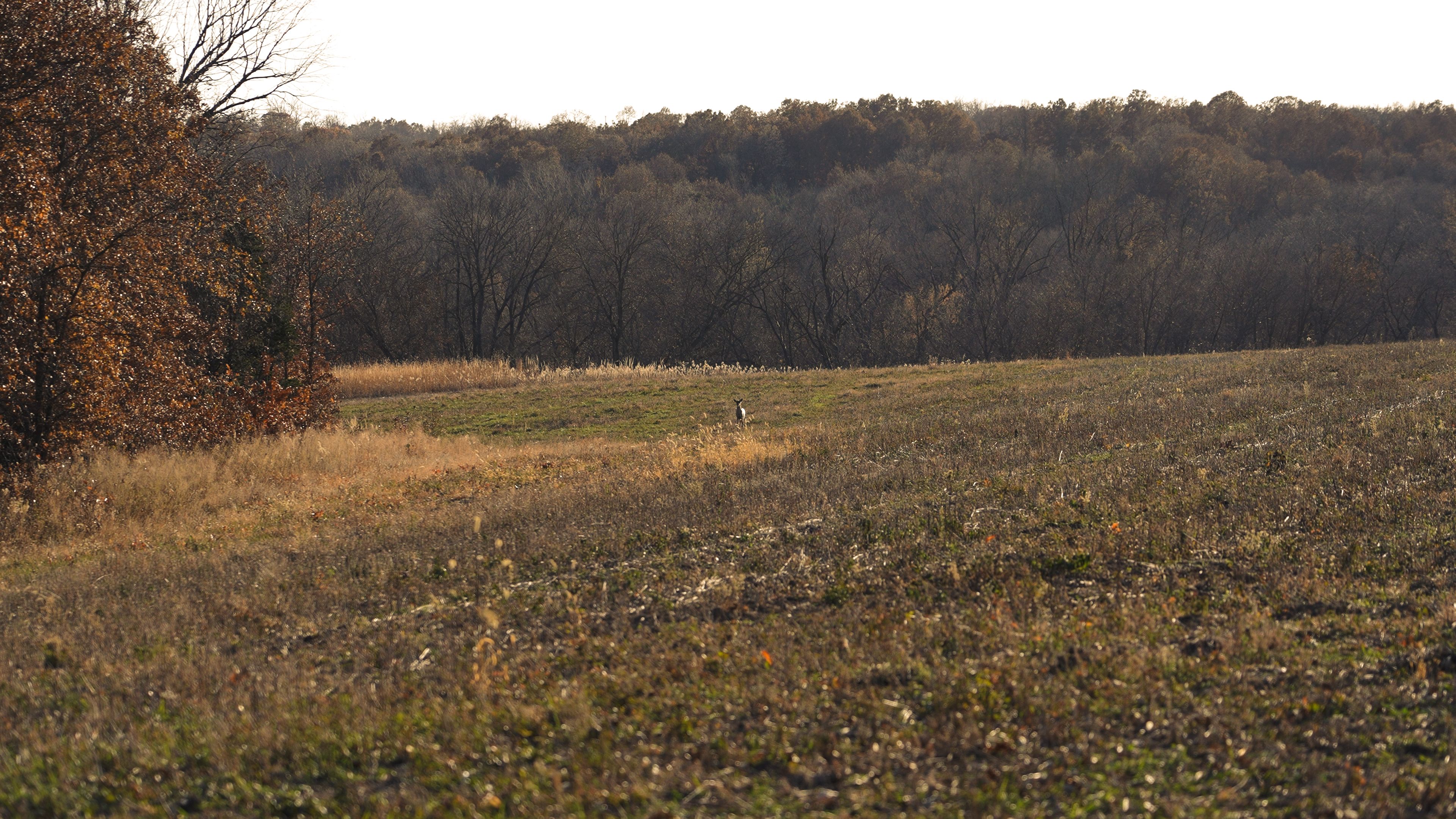 Listing Photo: C7959