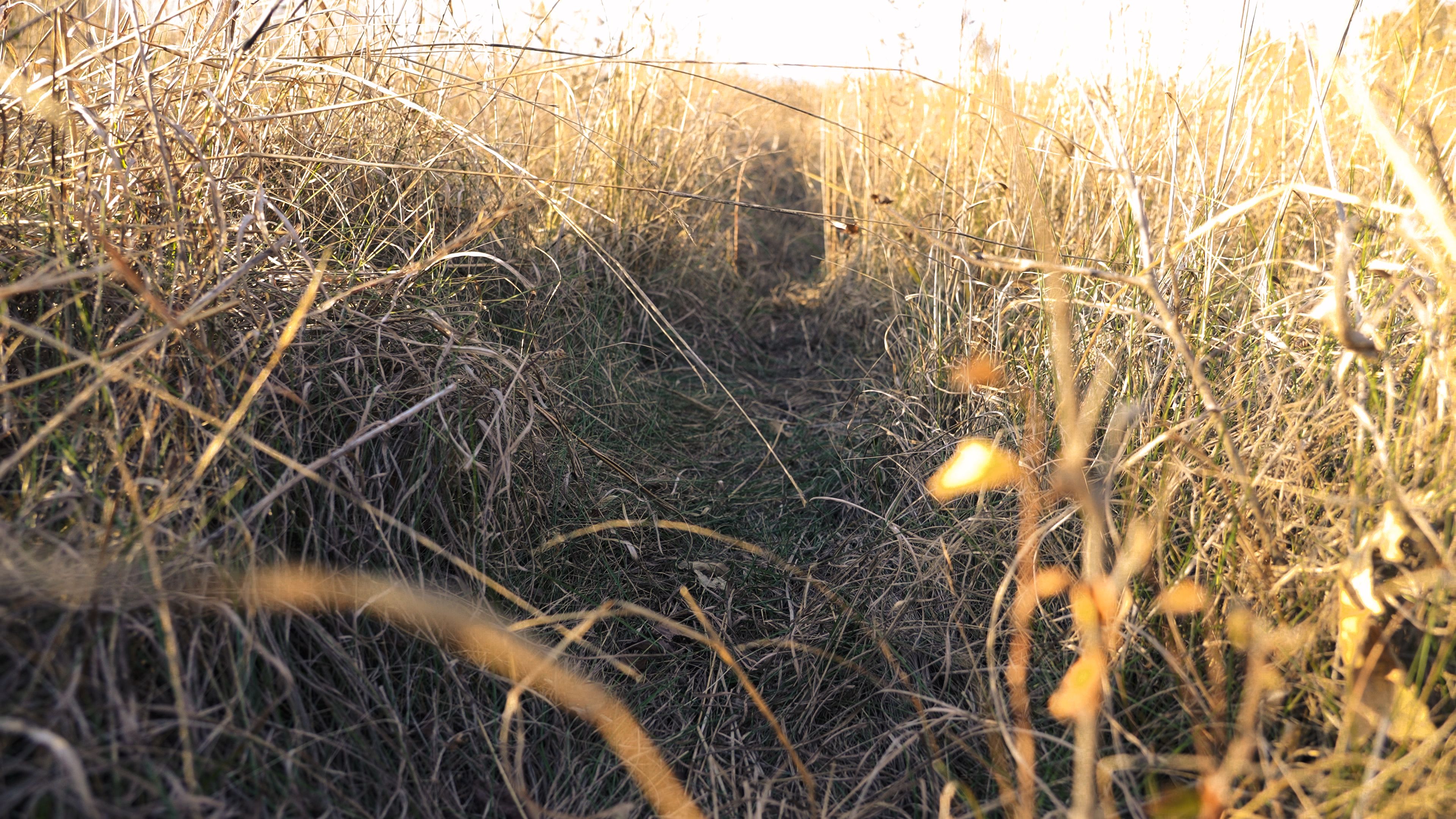 Listing Photo: C7972