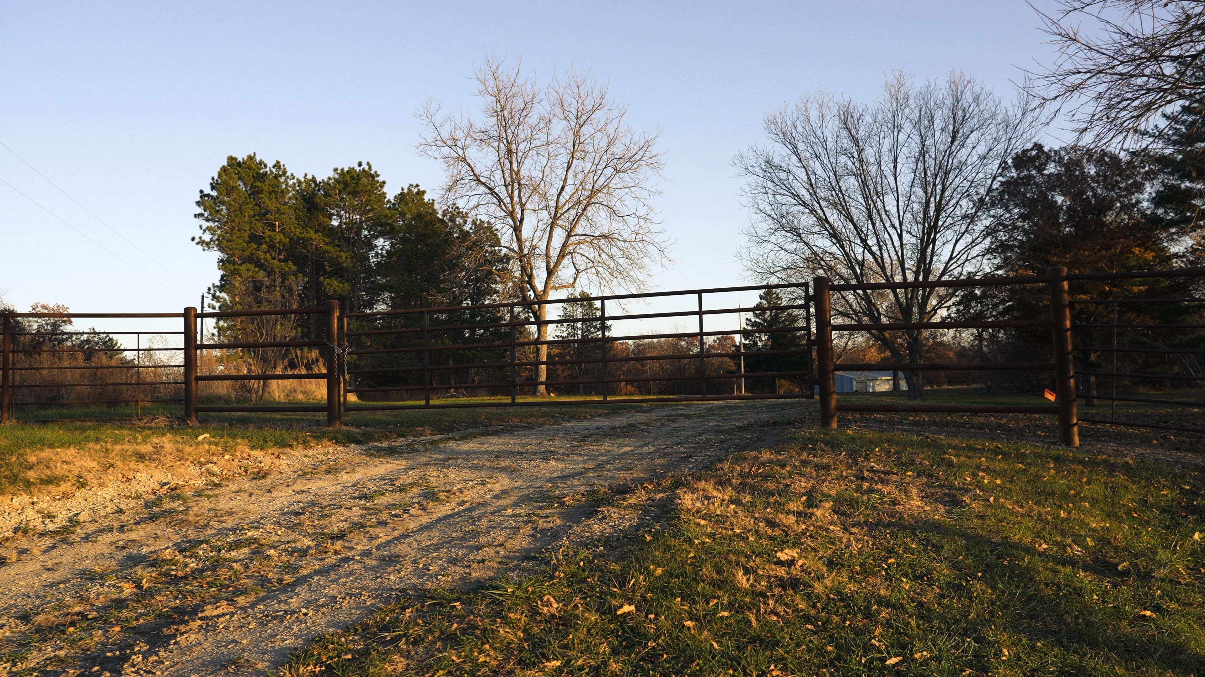 Listing Photo: C7979