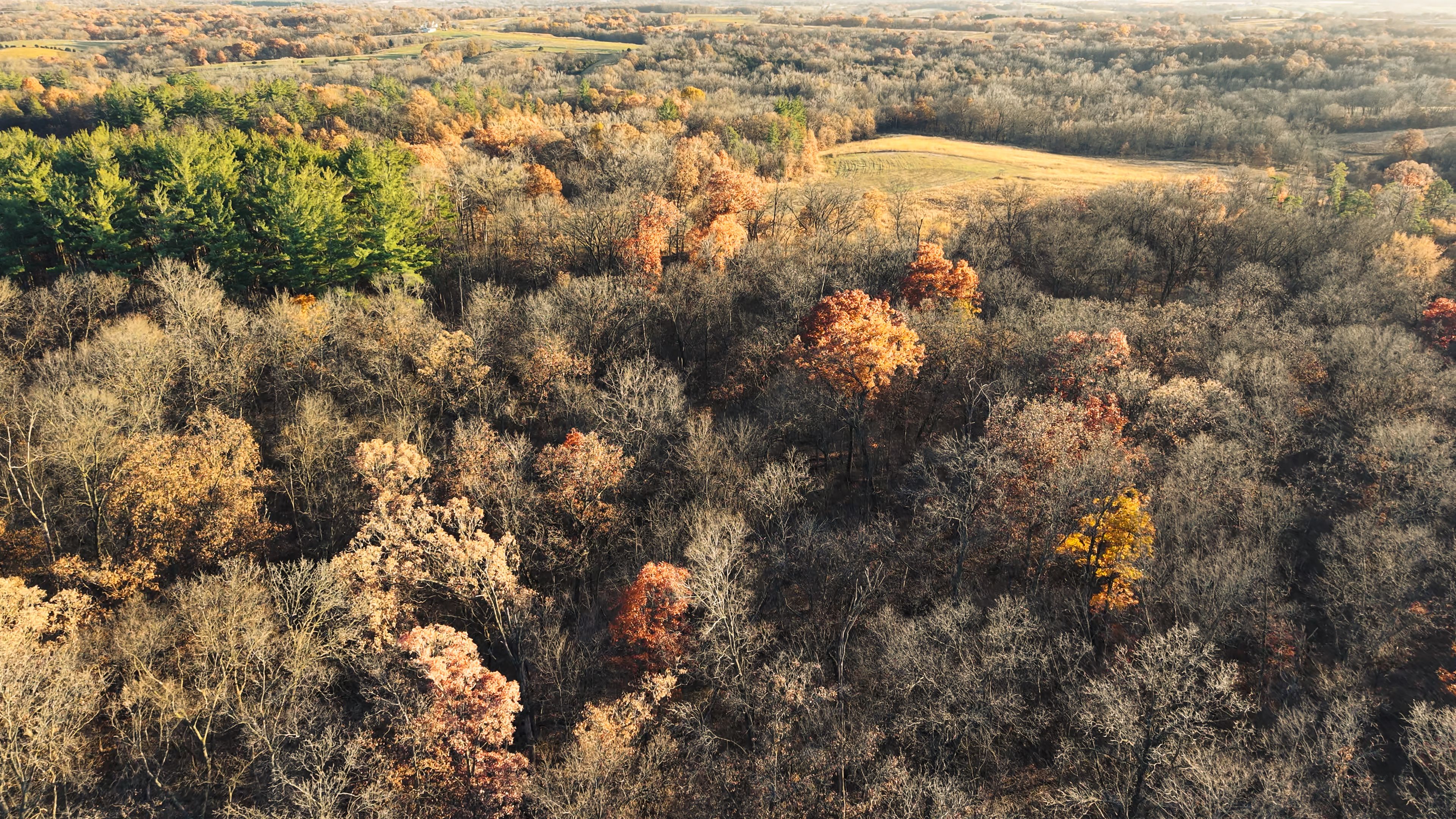 Listing Photo: DJI_20251113155208_0103_D-10