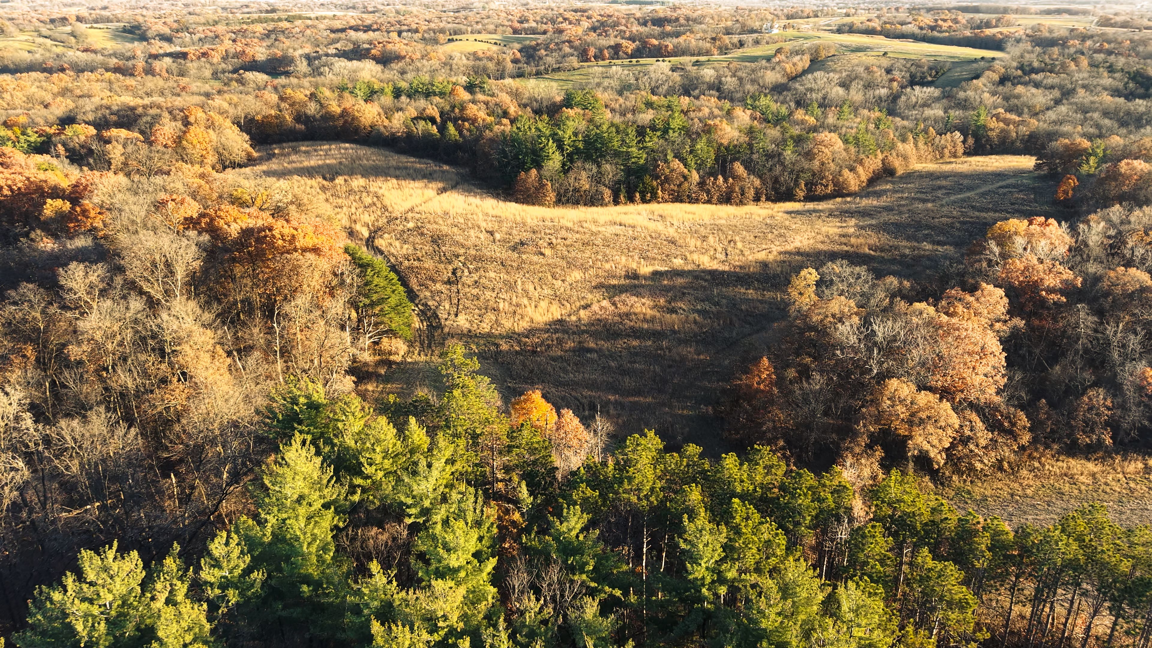 Listing Photo: DJI_20251113155208_0103_D-11