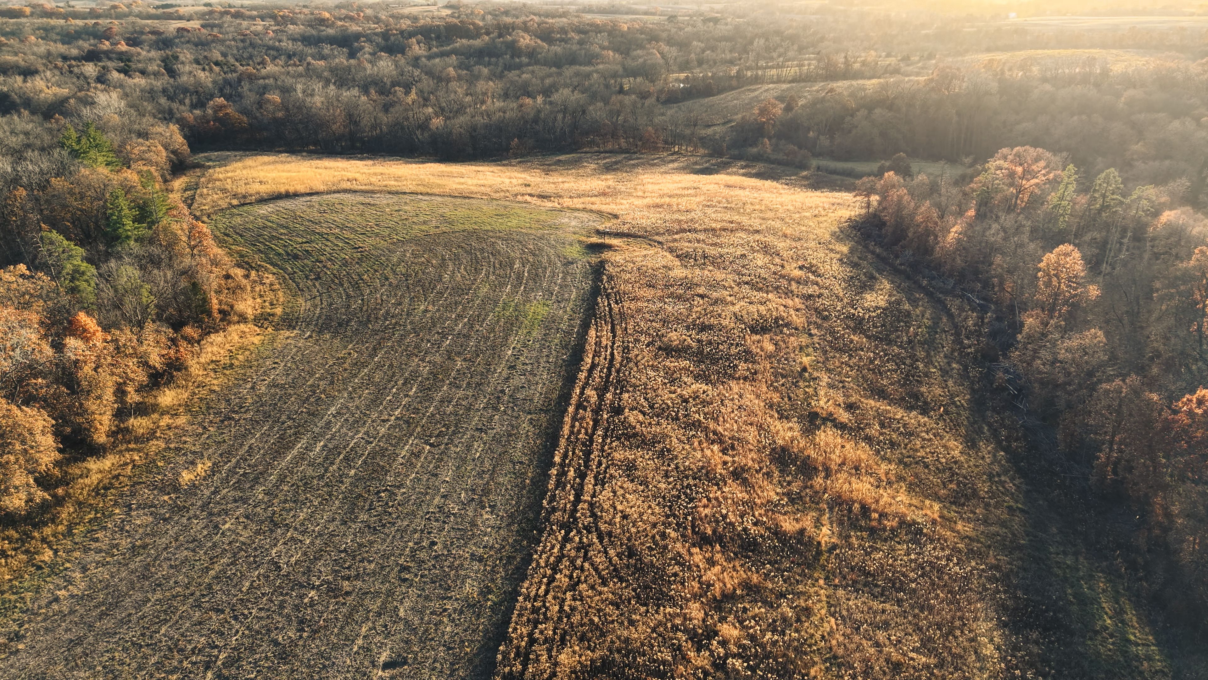 Listing Photo: DJI_20251113155208_0103_D-12