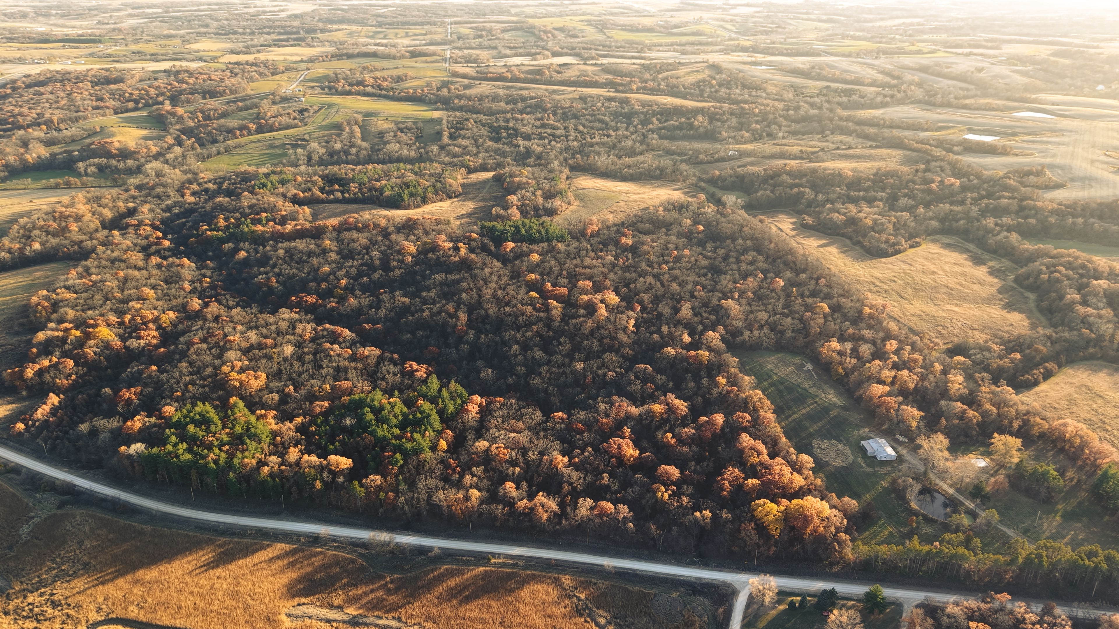 Listing Photo: DJI_20251113155208_0103_D-14