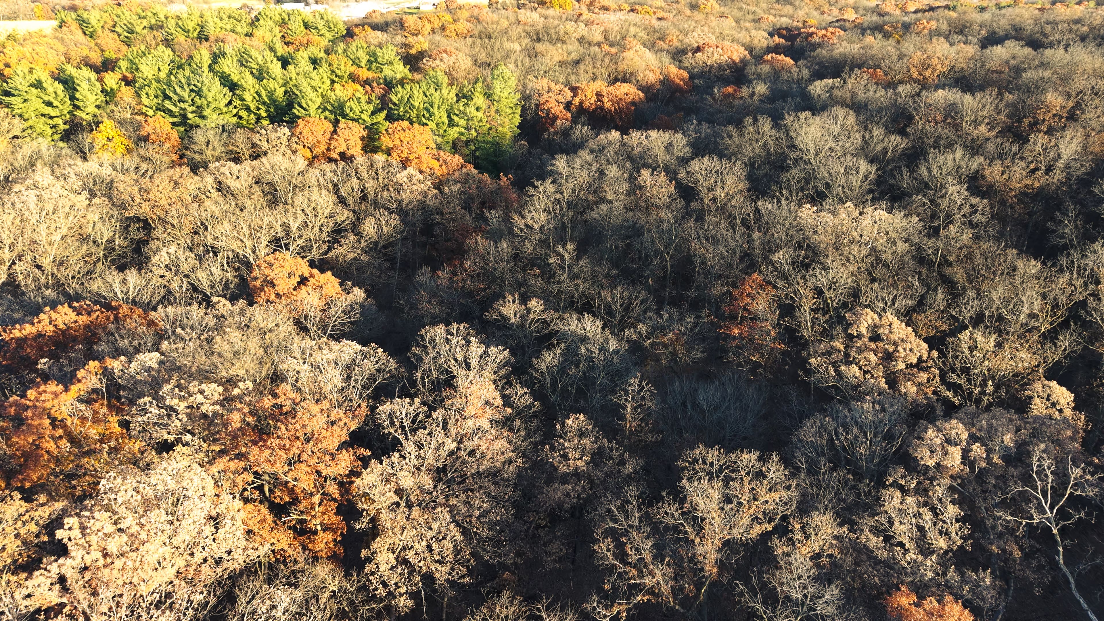 Listing Photo: DJI_20251113155208_0103_D-4