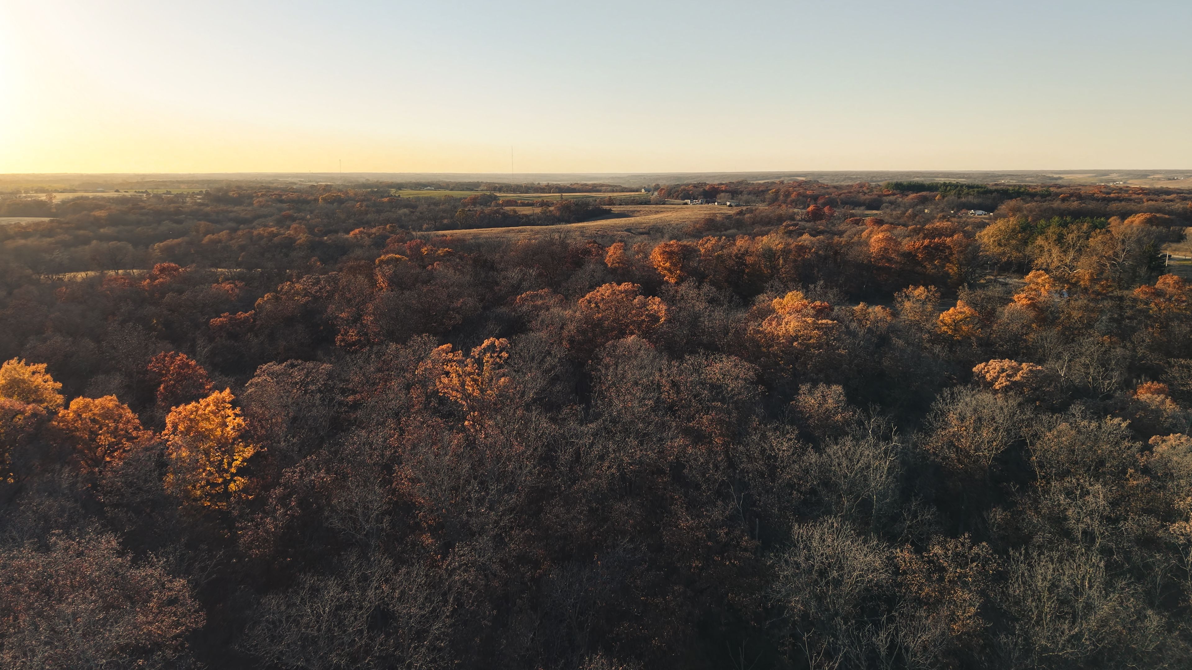 Listing Photo: DJI_20251113155208_0103_D-6