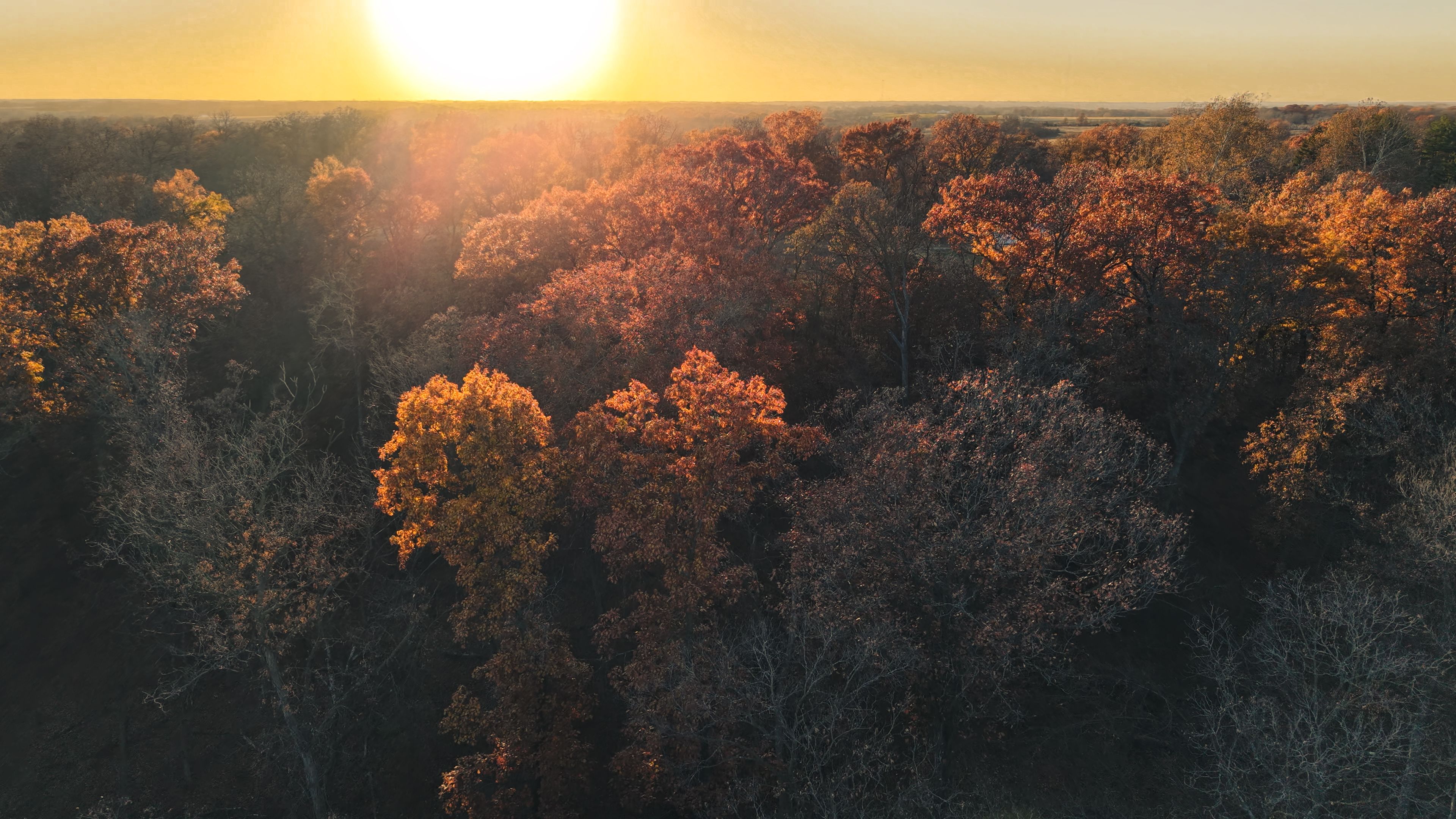 Listing Photo: DJI_20251113160720_0109_D-3