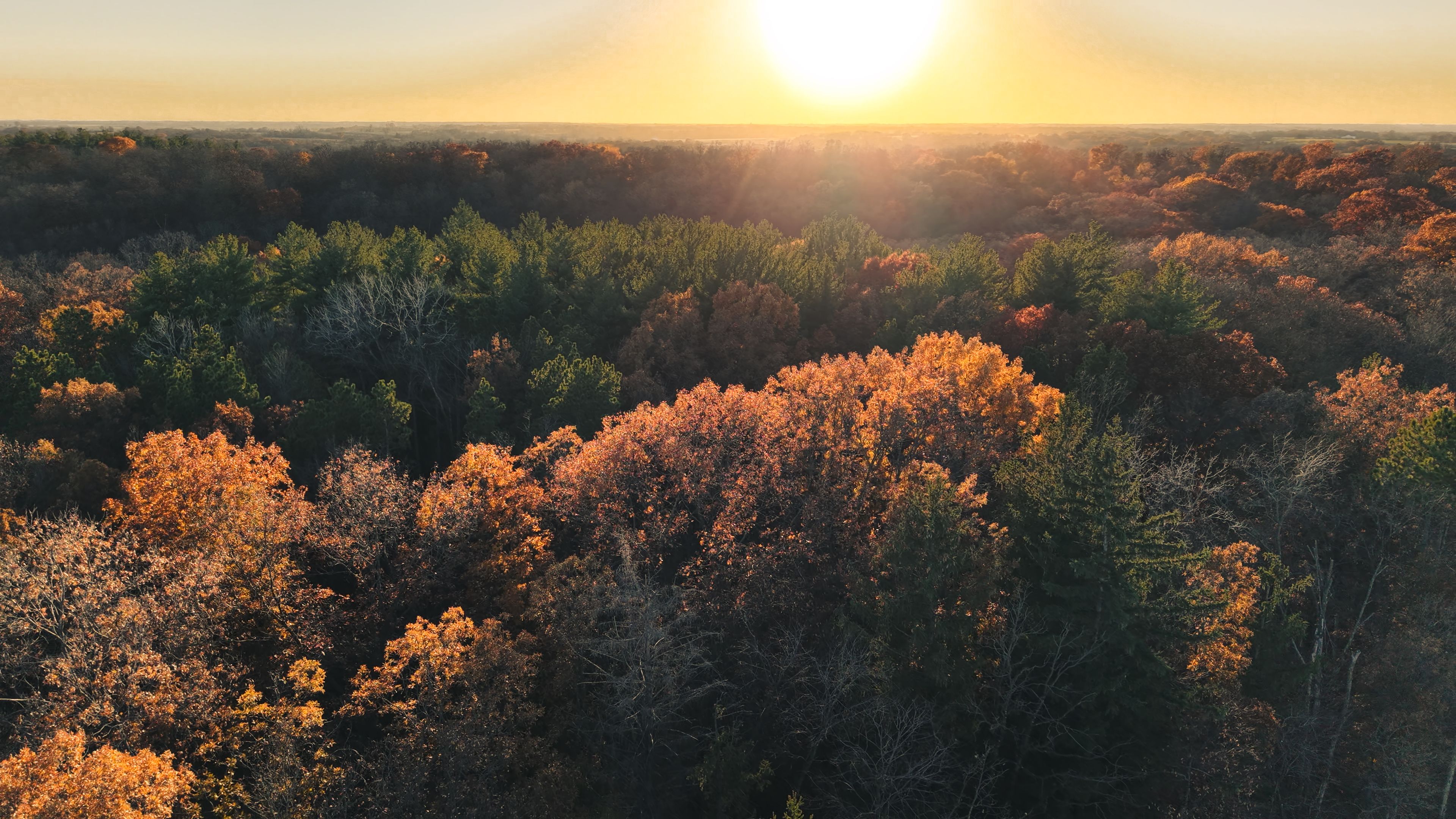 Listing Photo: DJI_20251113160720_0109_D