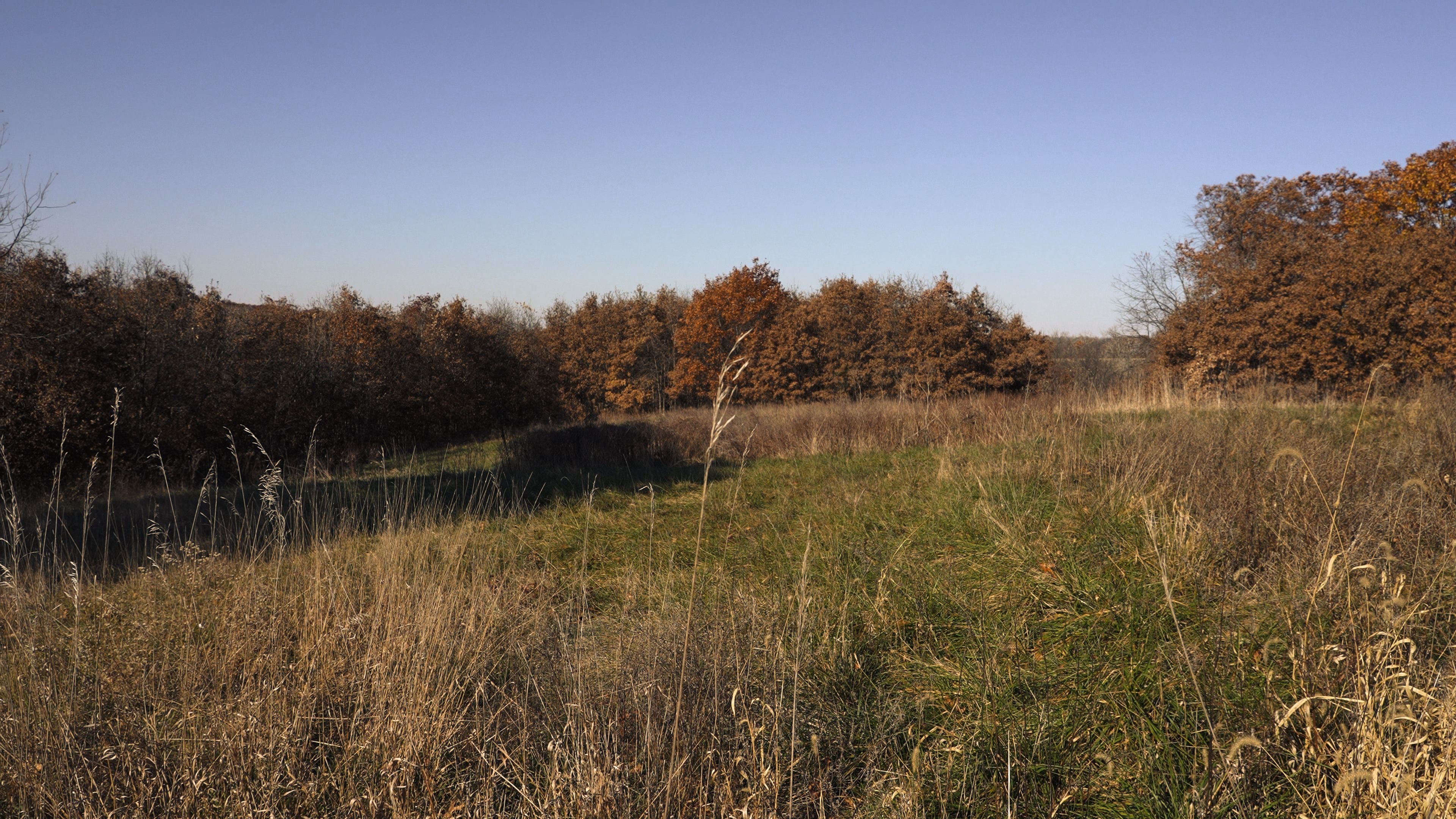 Listing Photo: C7903