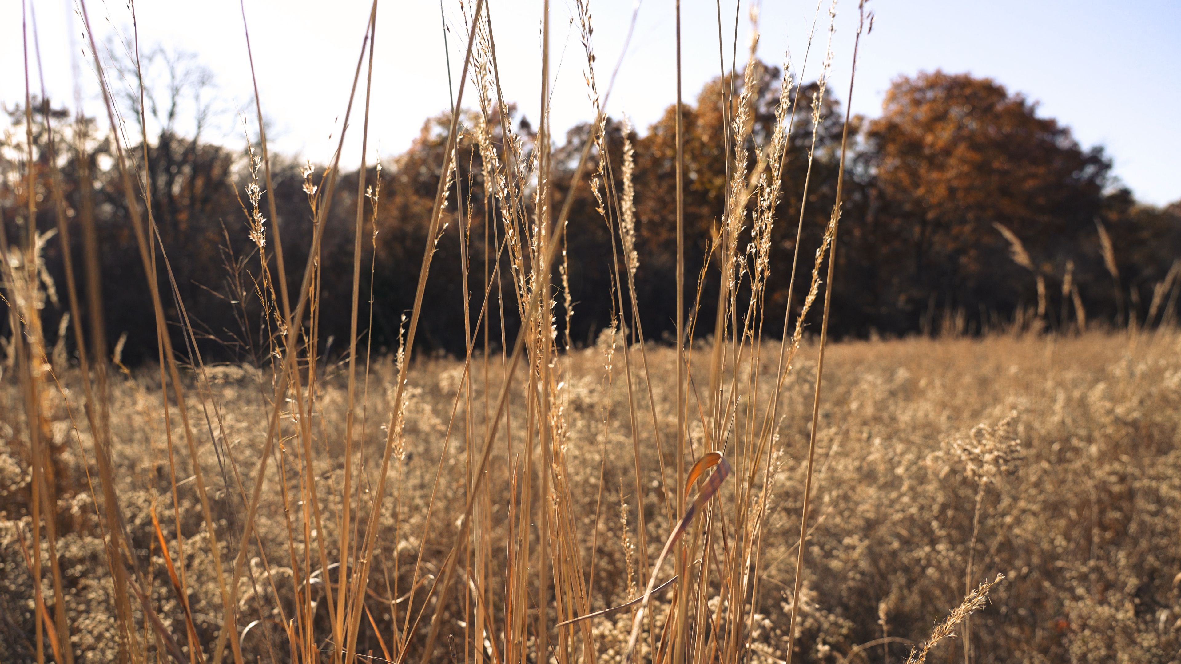 Listing Photo: C7917