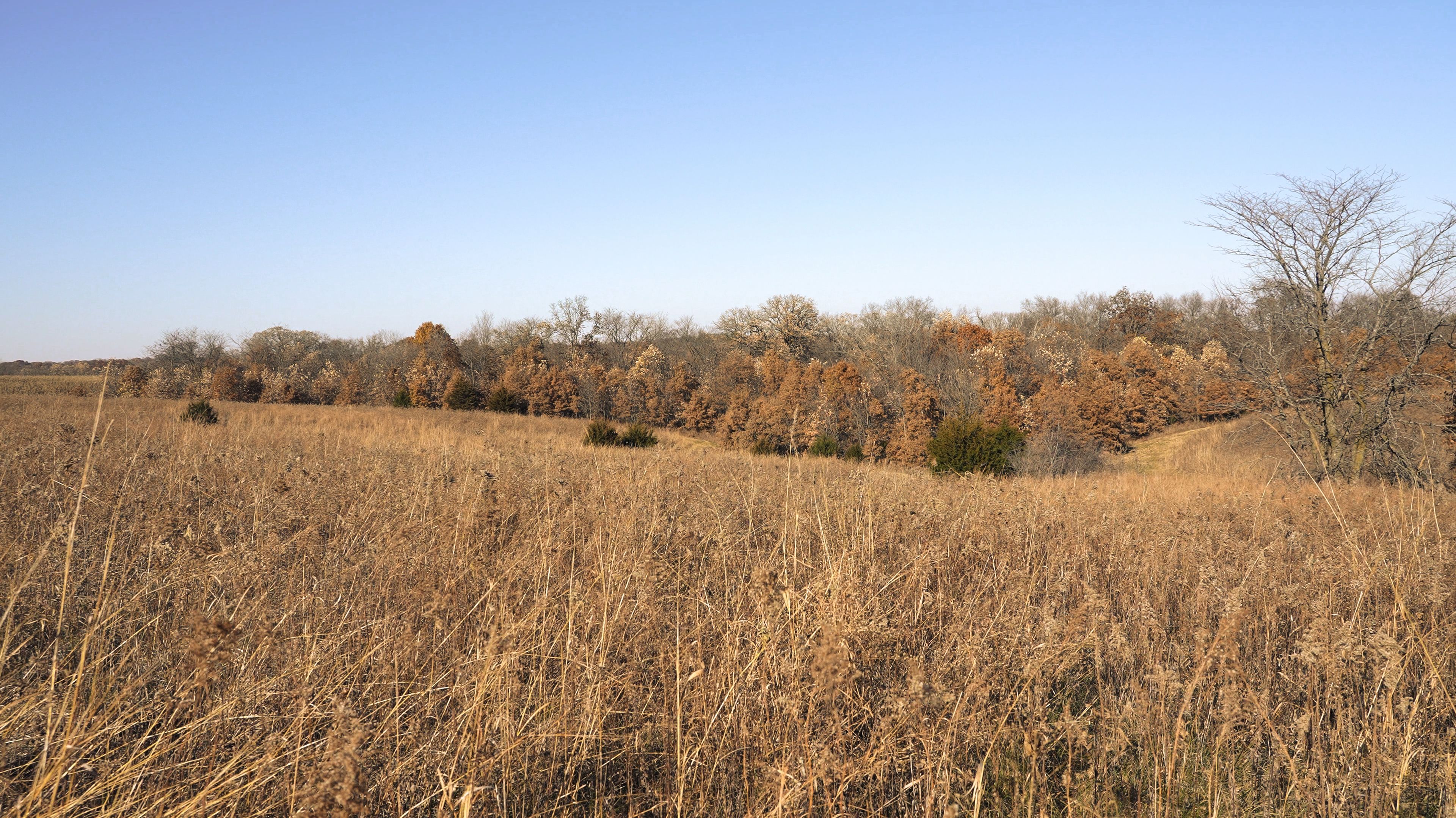 Listing Photo: C7919