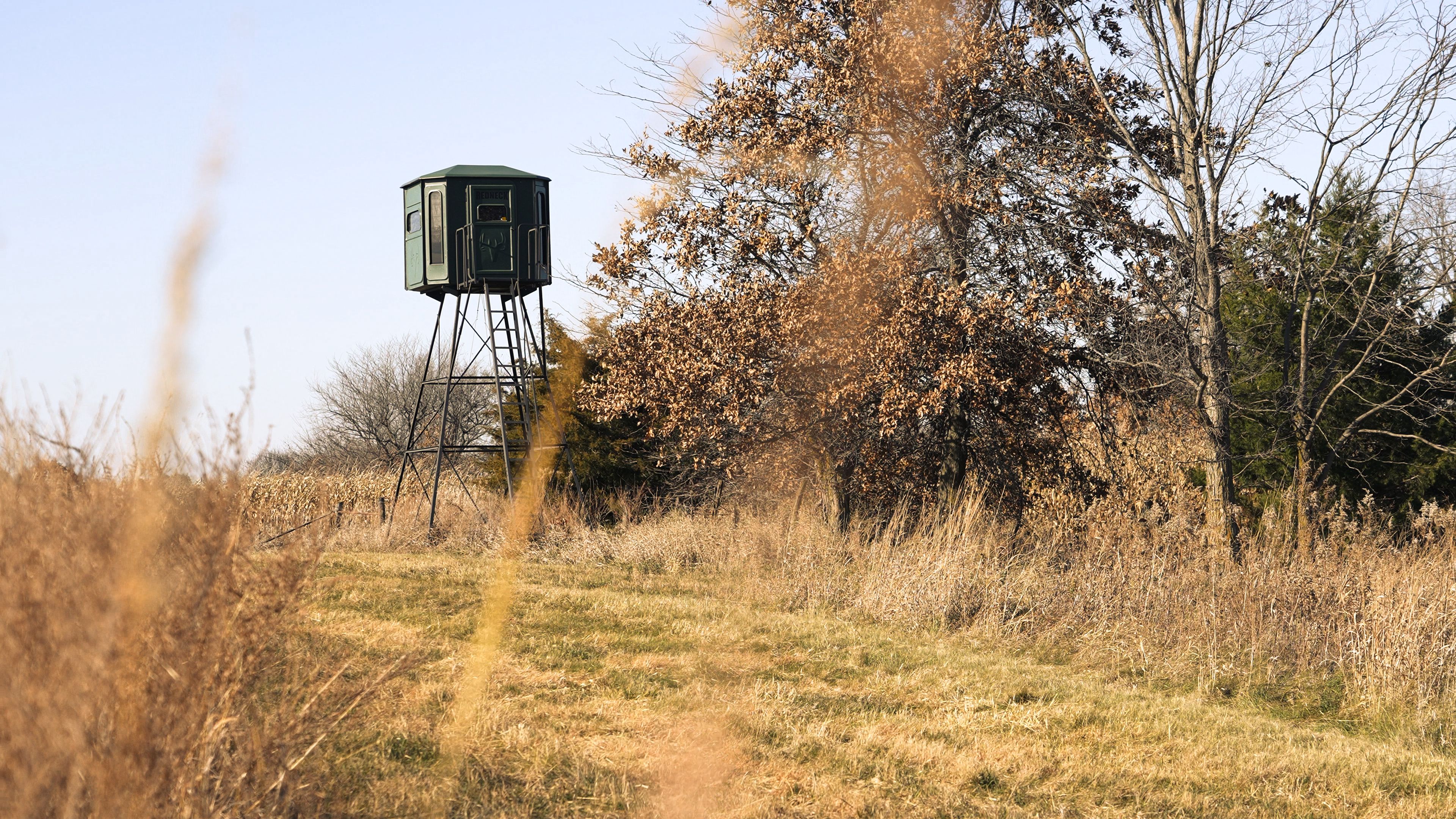 Listing Photo: C7920