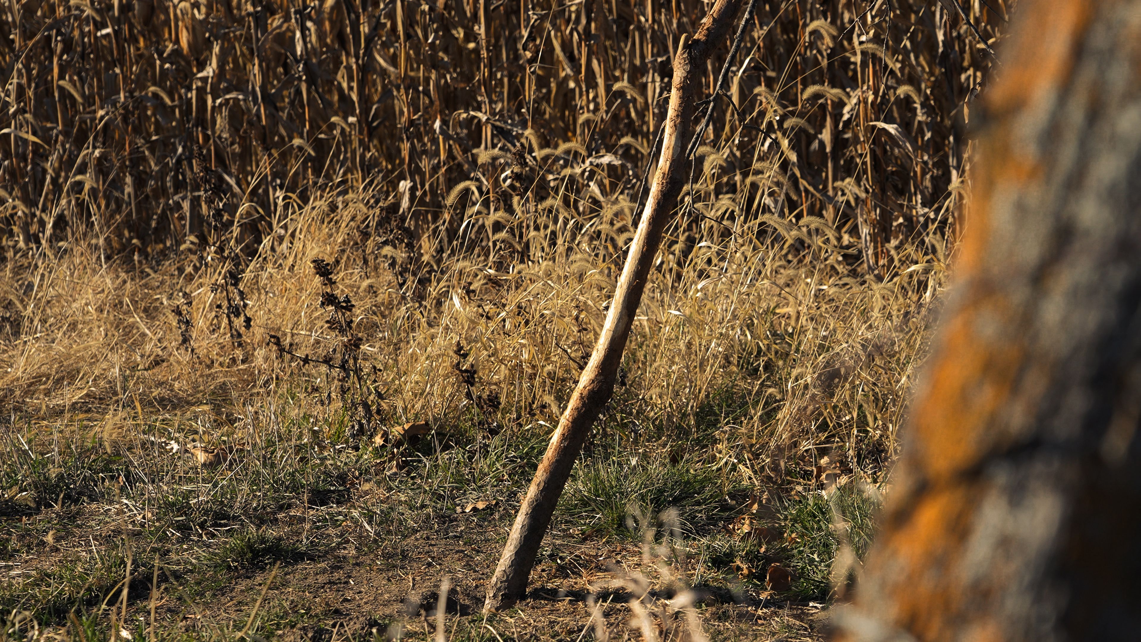 Listing Photo: C7921