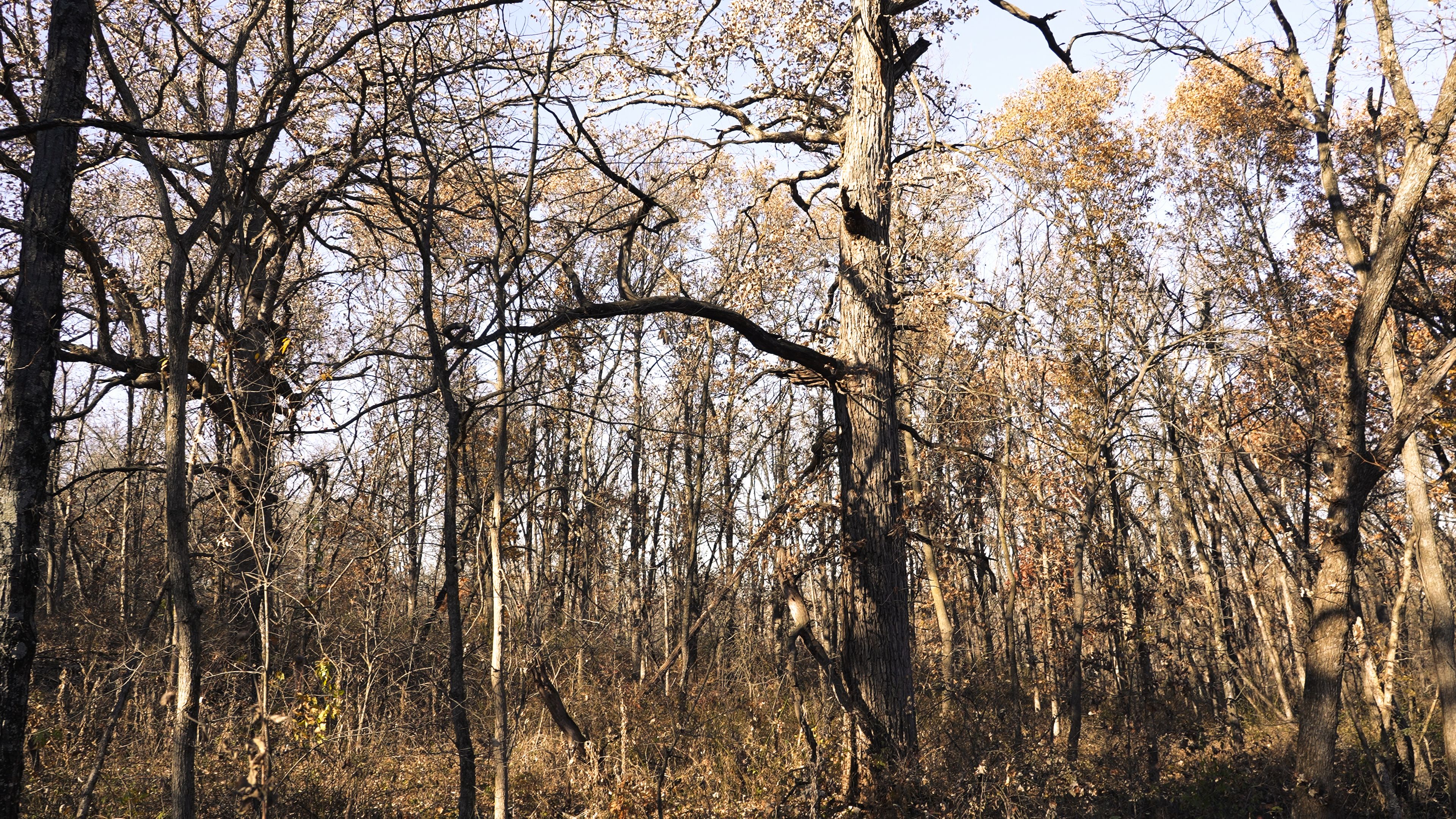 Listing Photo: C7925