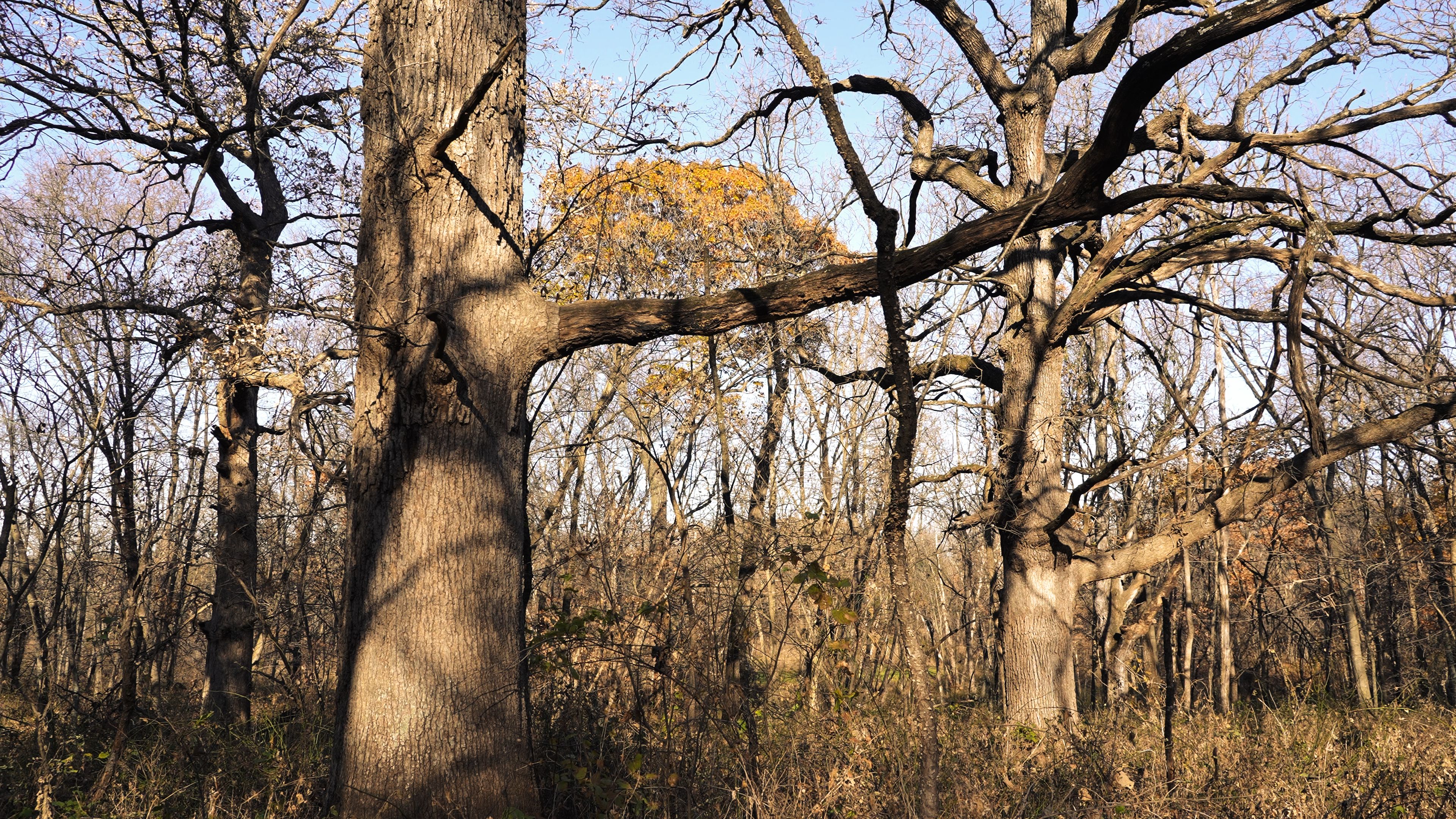 Listing Photo: C7926