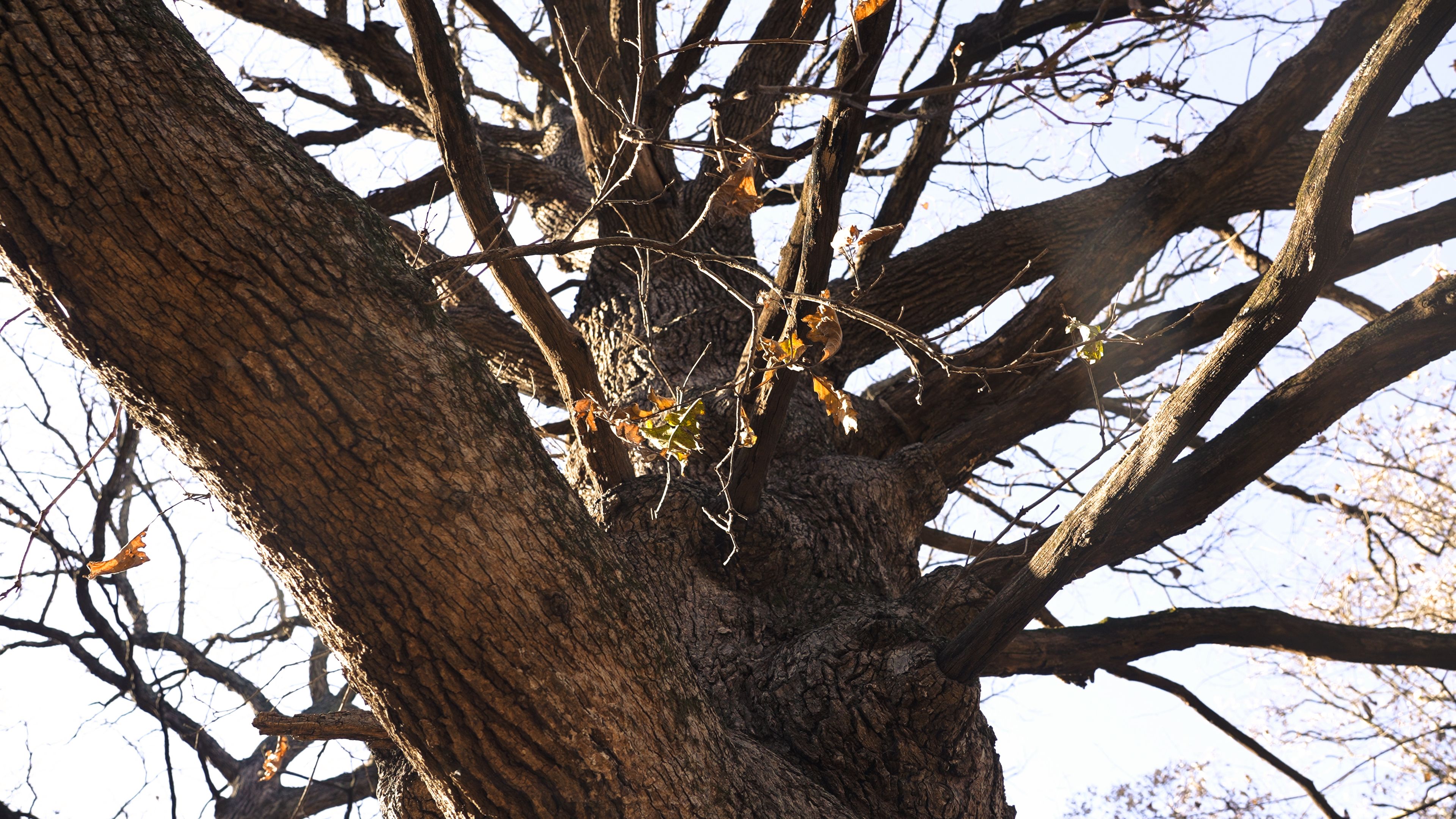 Listing Photo: C7927