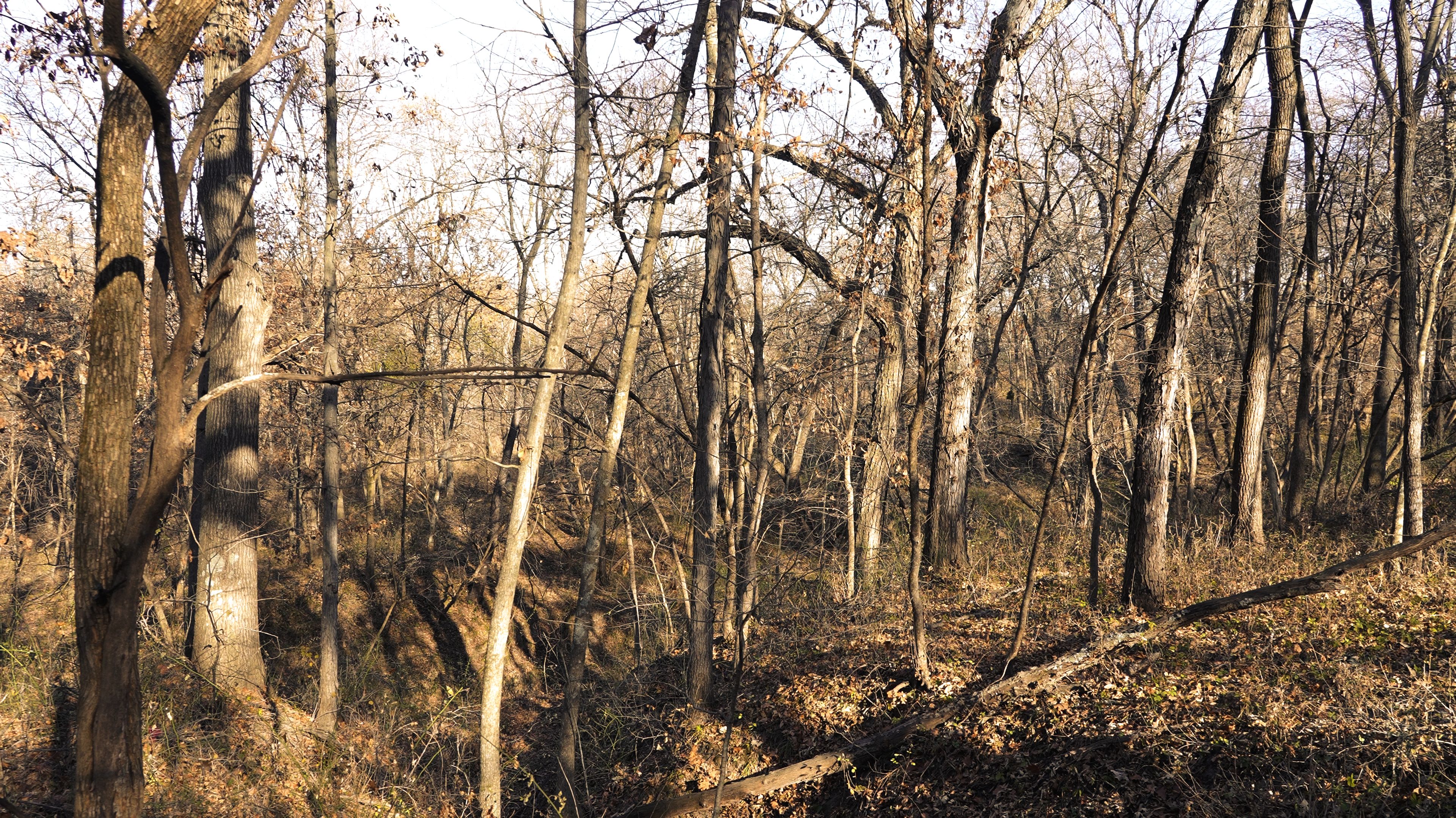 Listing Photo: C7928