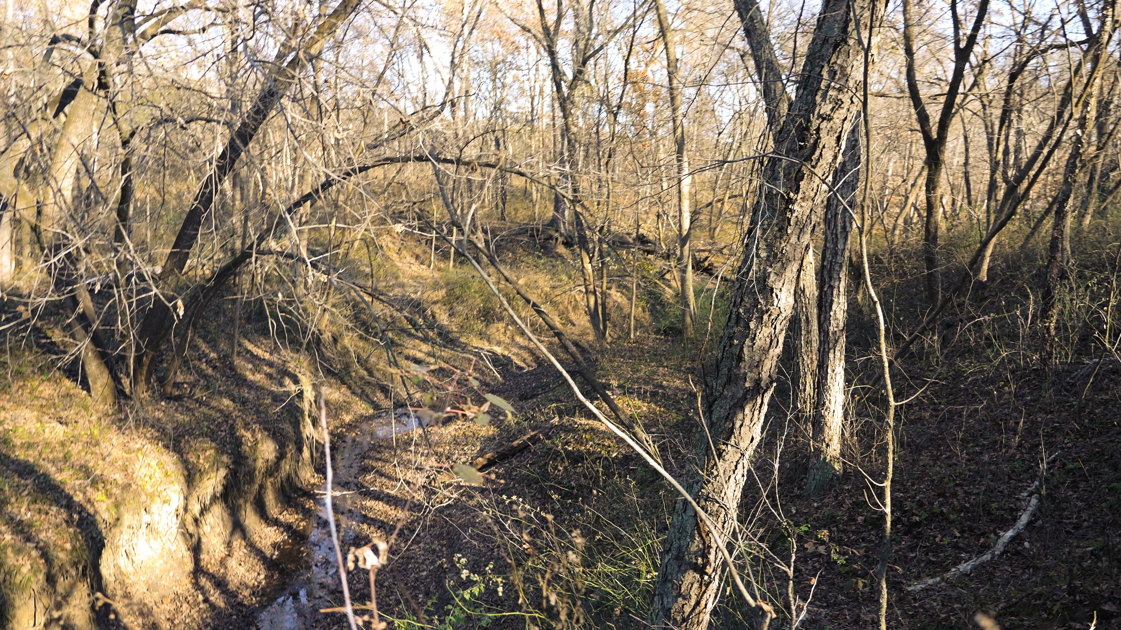 Listing Photo: C7929