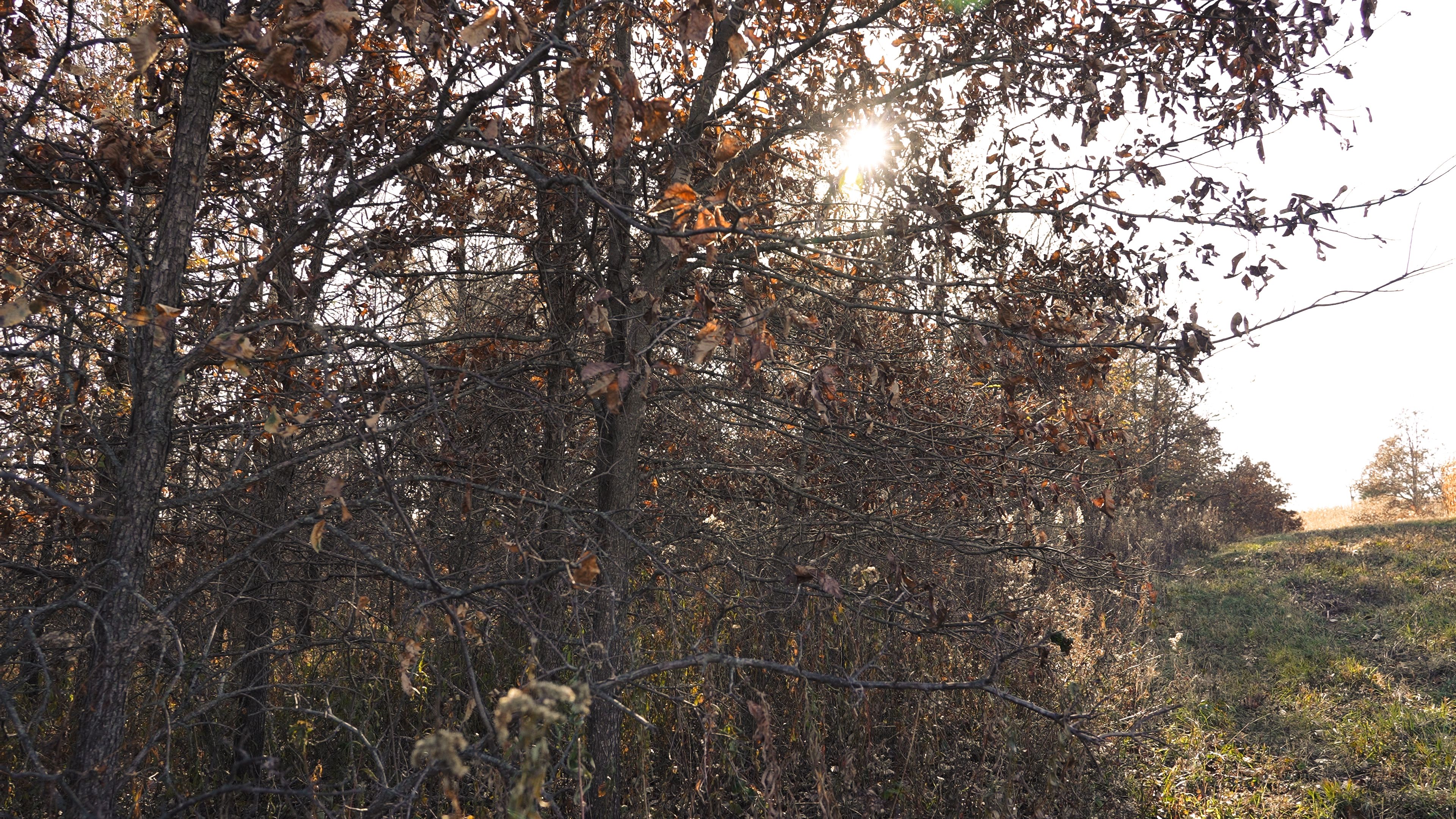 Listing Photo: C7930