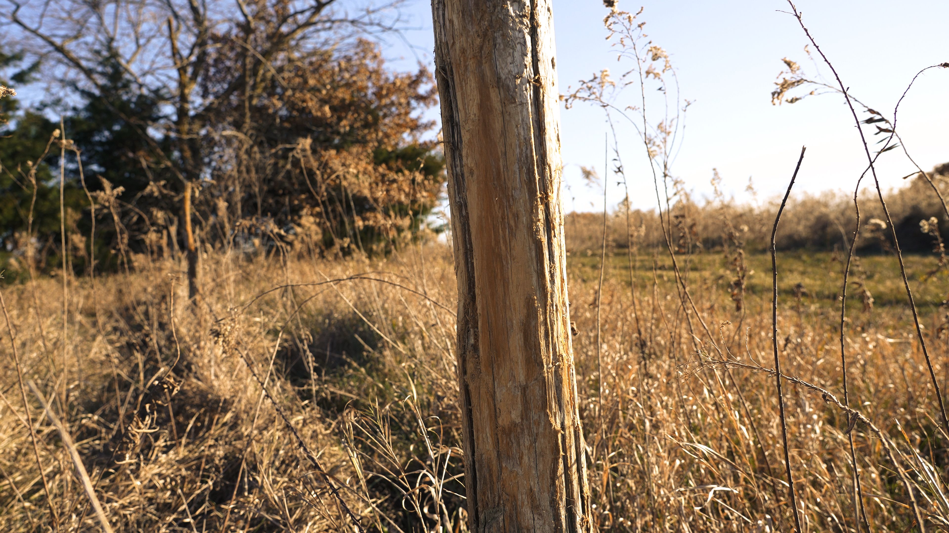 Listing Photo: C7933