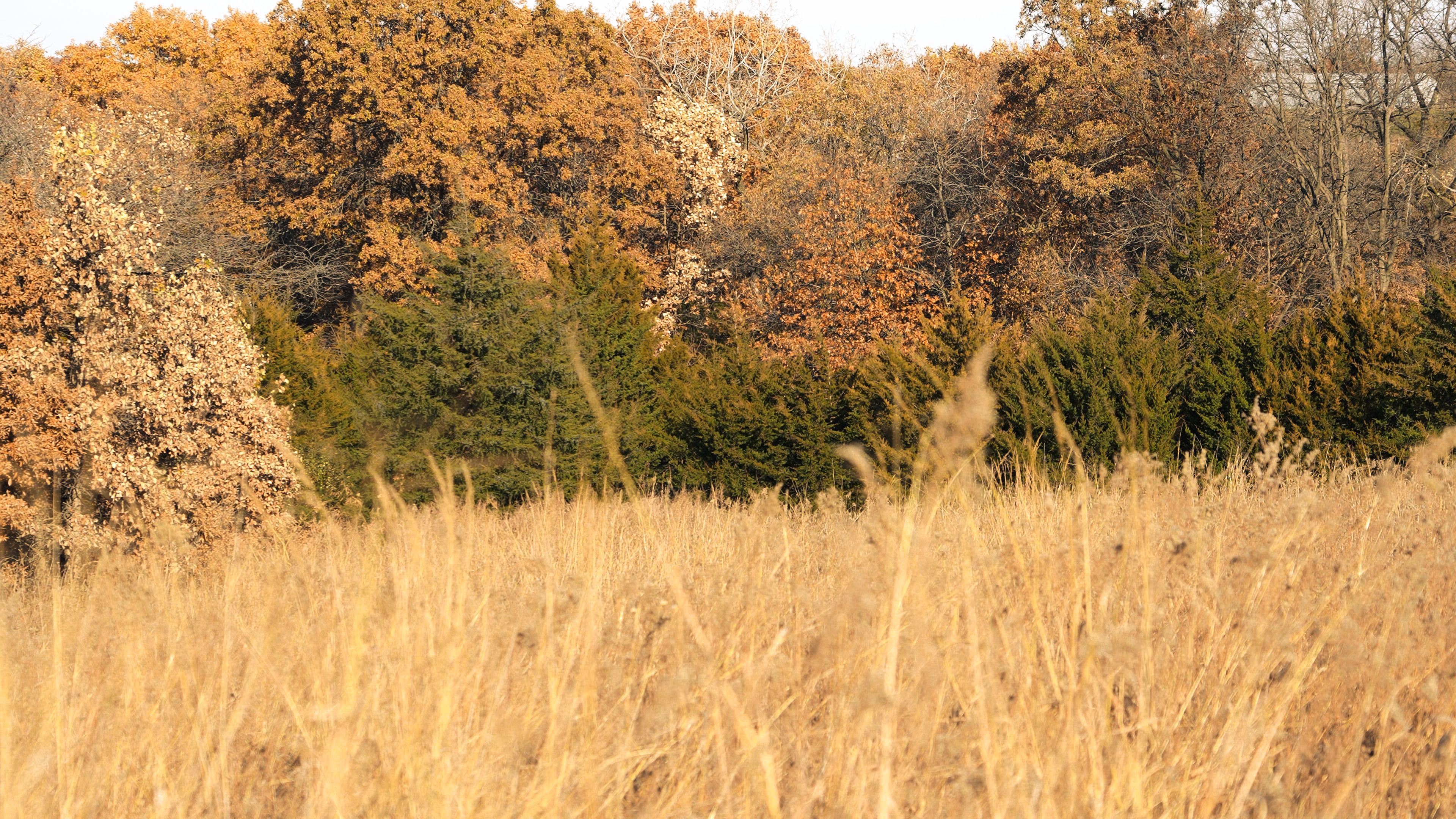 Listing Photo: C7934