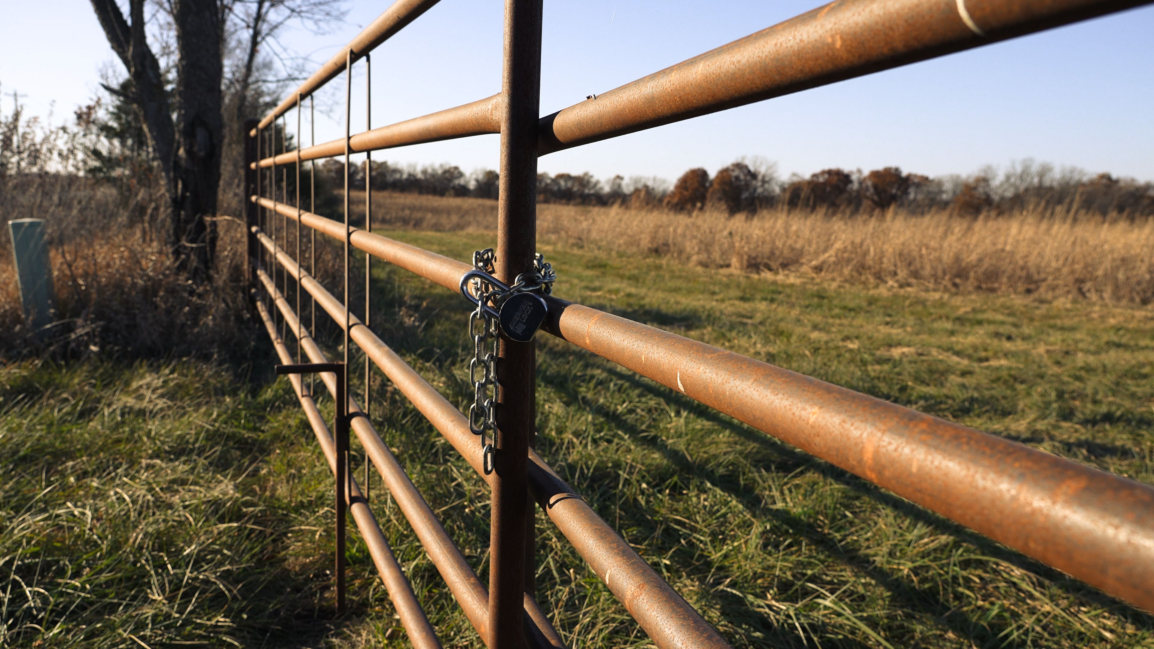 Listing Photo: C7935