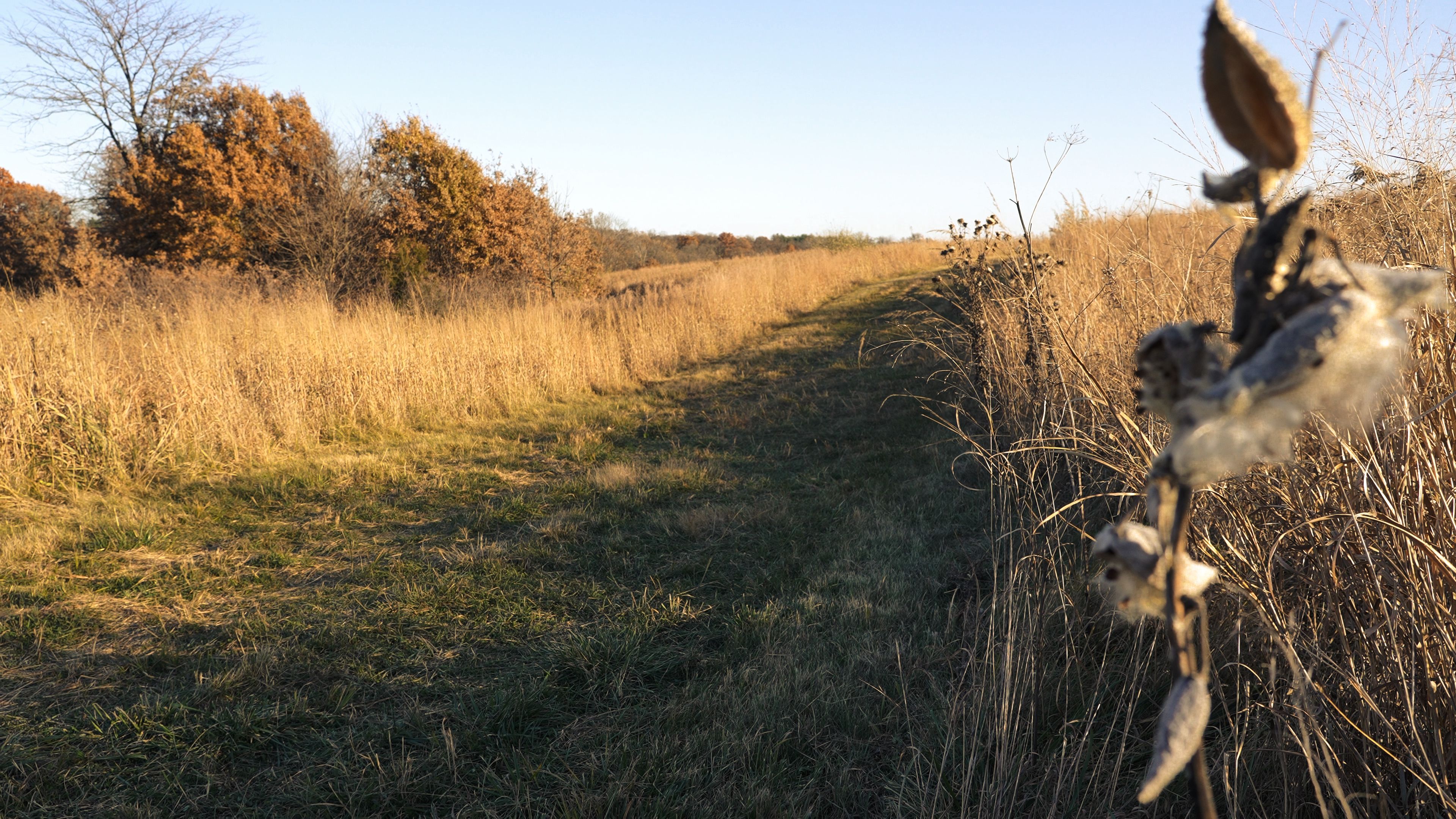 Listing Photo: C7963