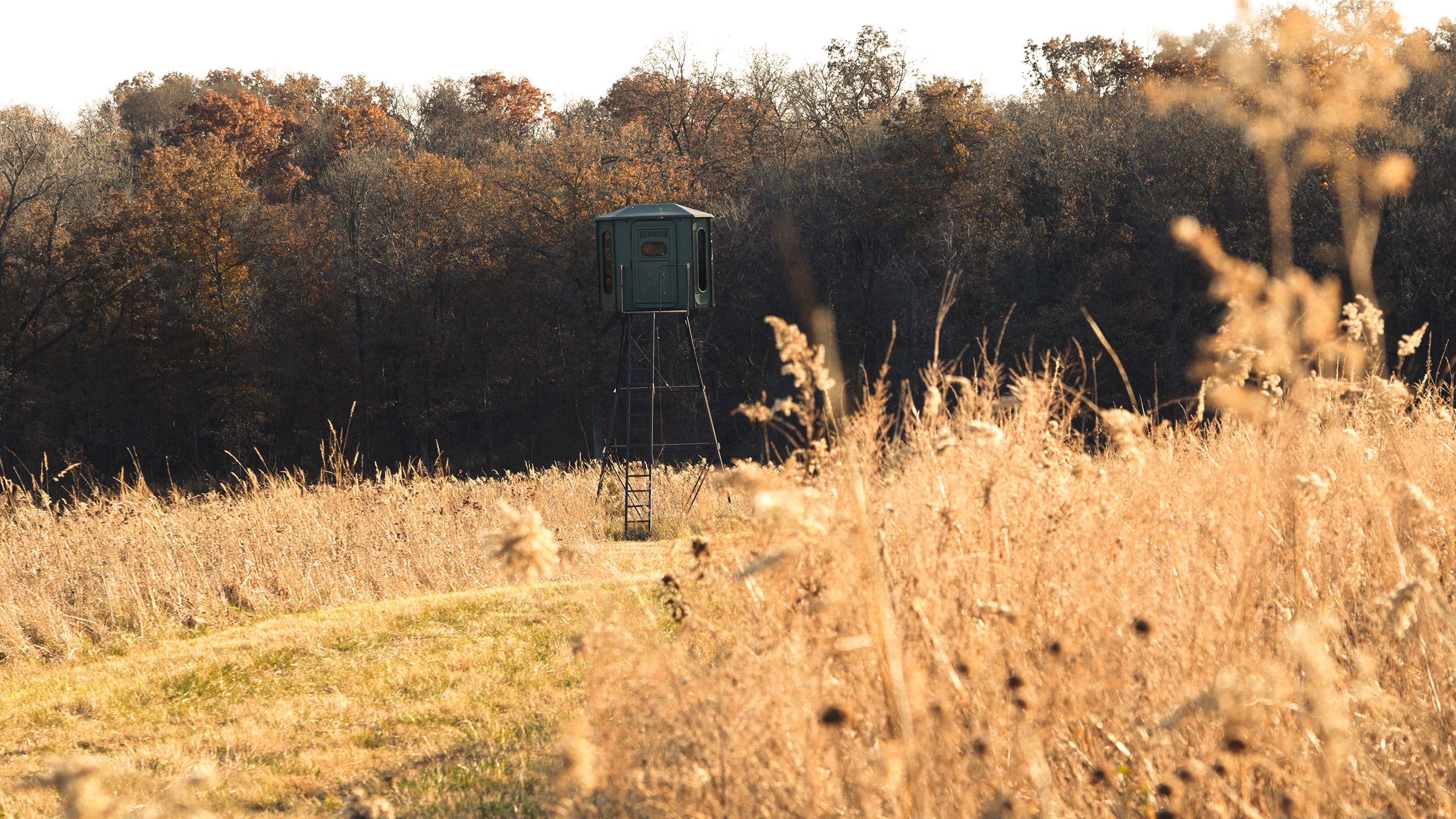 Listing Photo: C7964