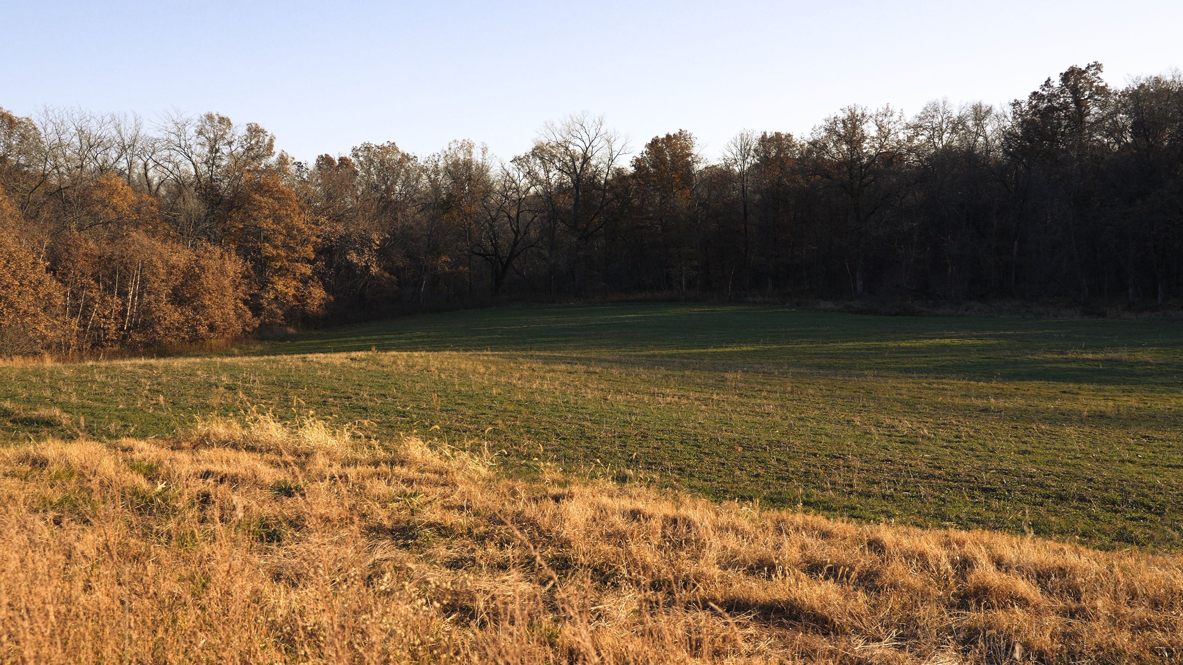 Listing Photo: C7967