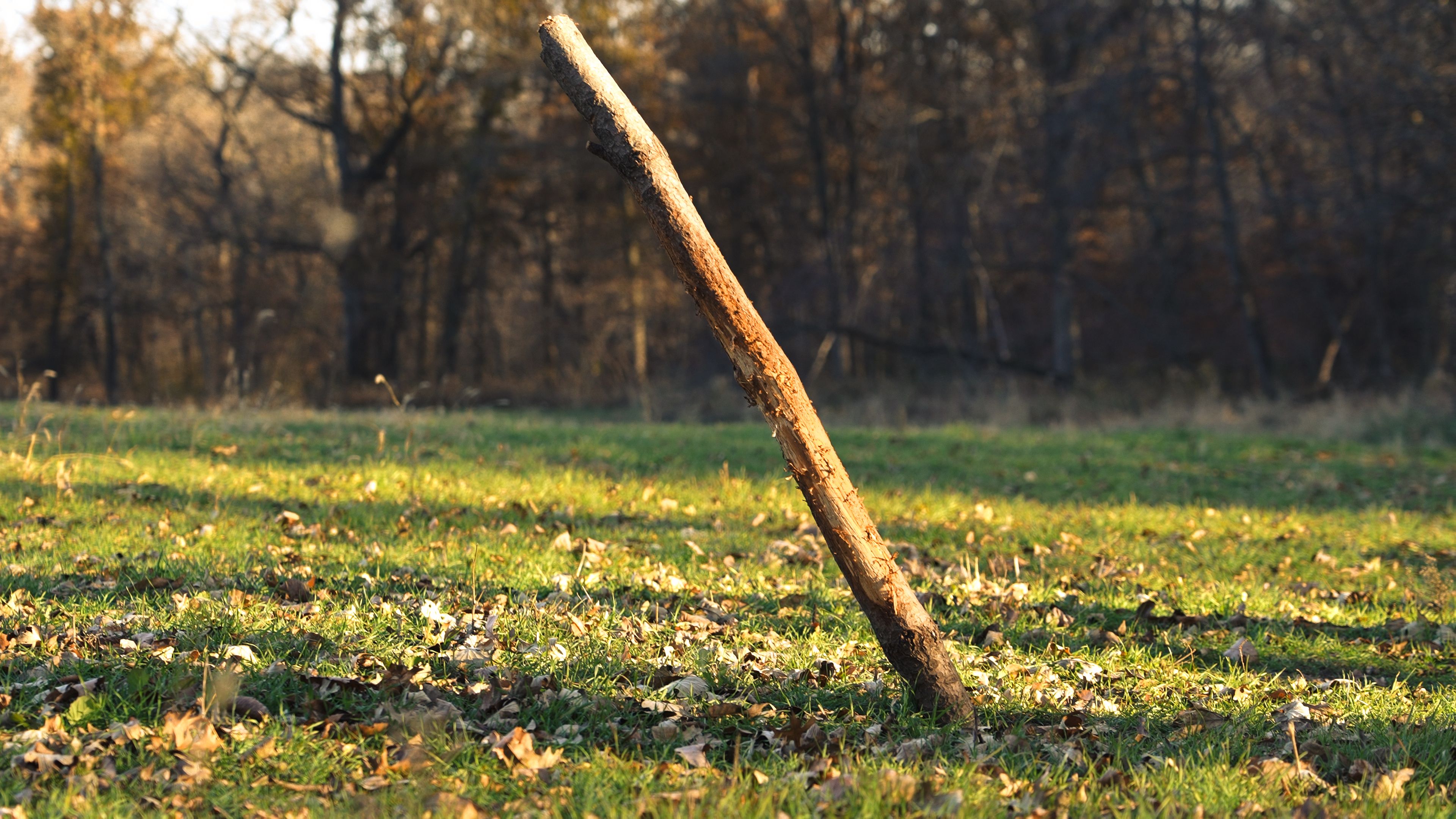 Listing Photo: C7968