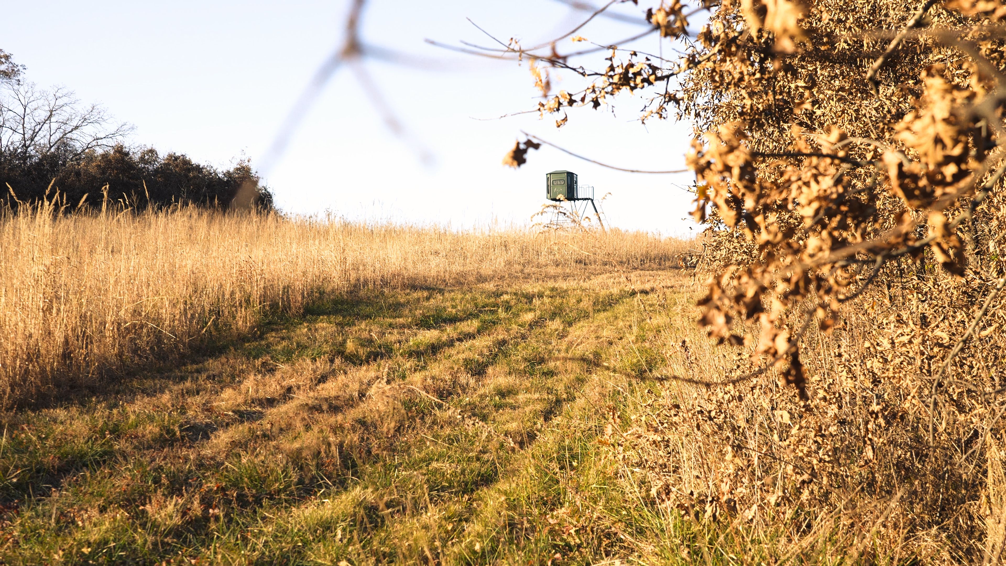 Listing Photo: C7970