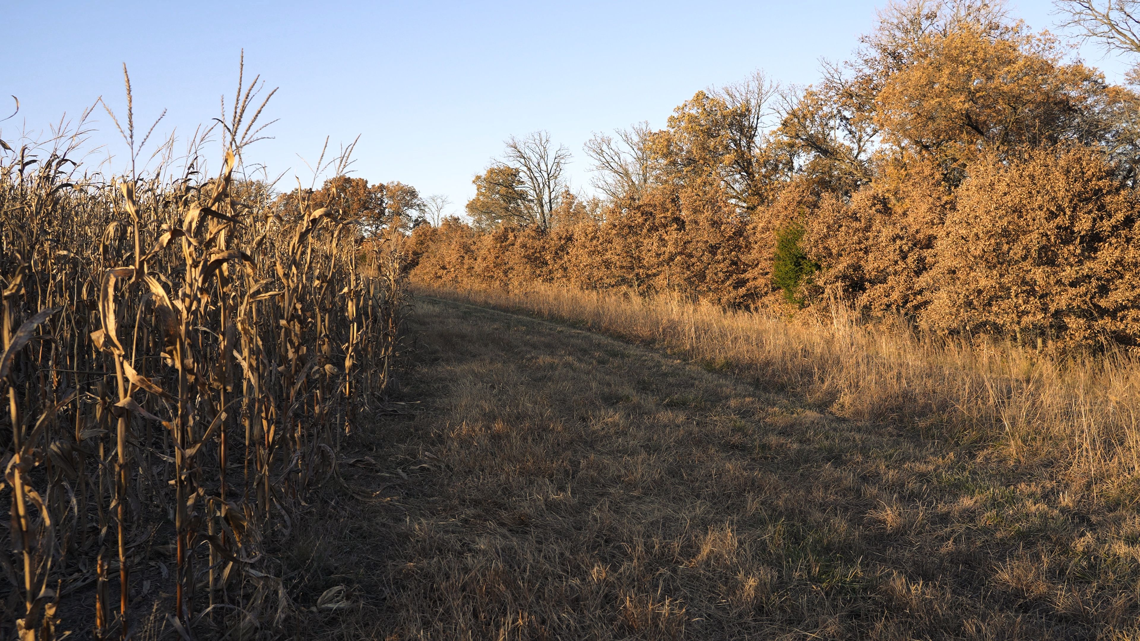 Listing Photo: C7976