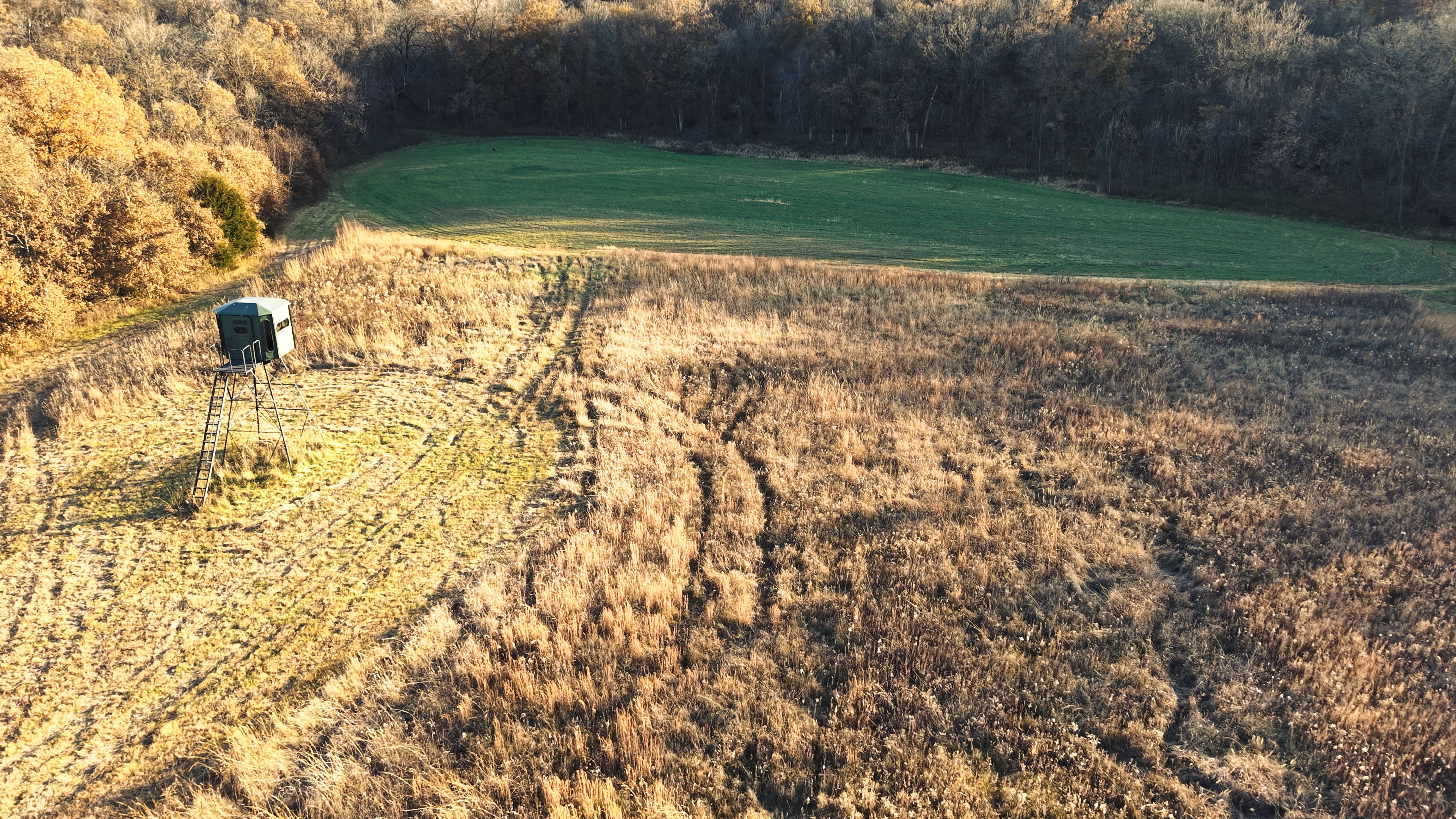 Listing Photo: DJI_20251113155945_0104_D-4