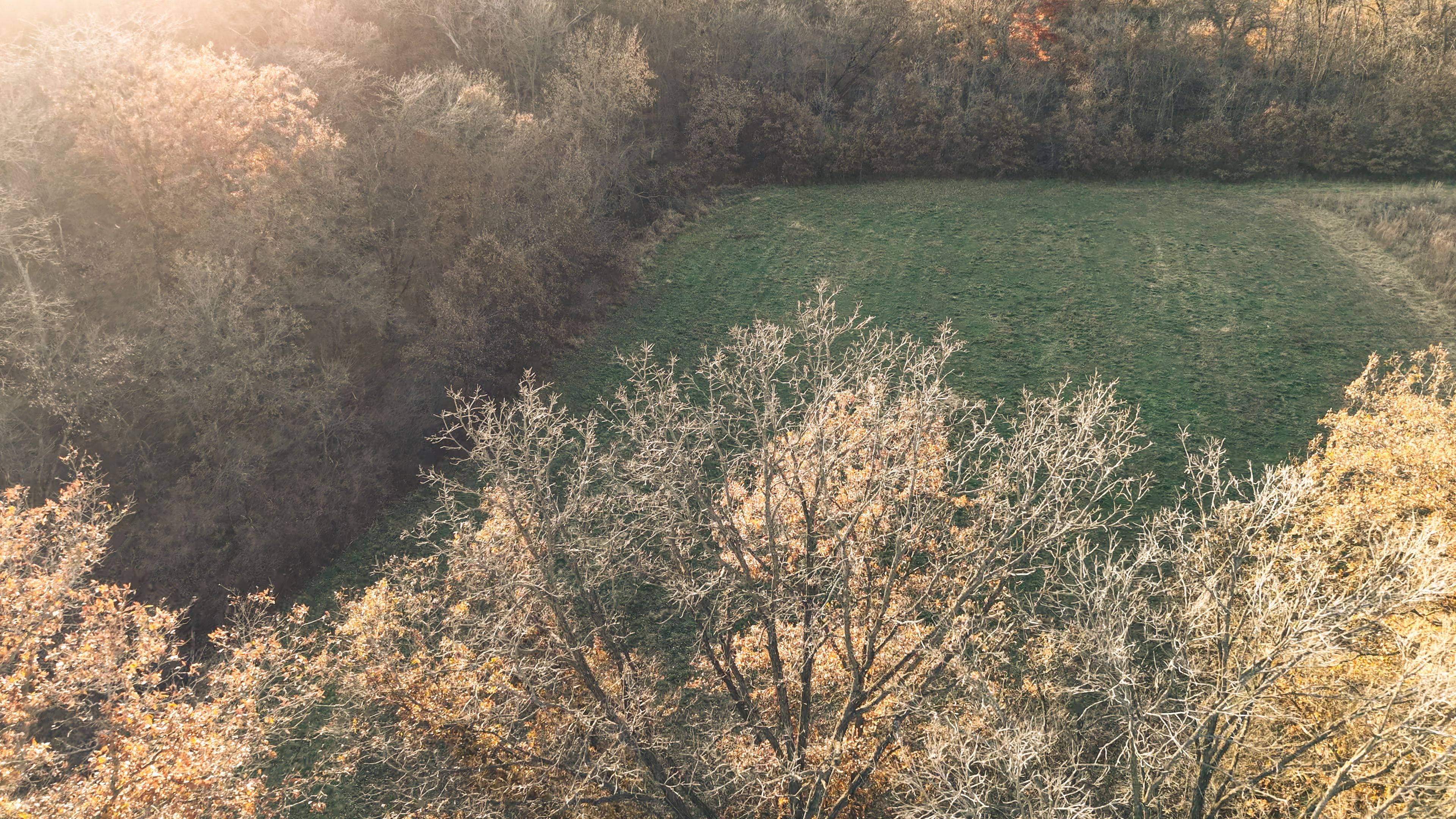 Listing Photo: DJI_20251113160222_0106_D-2