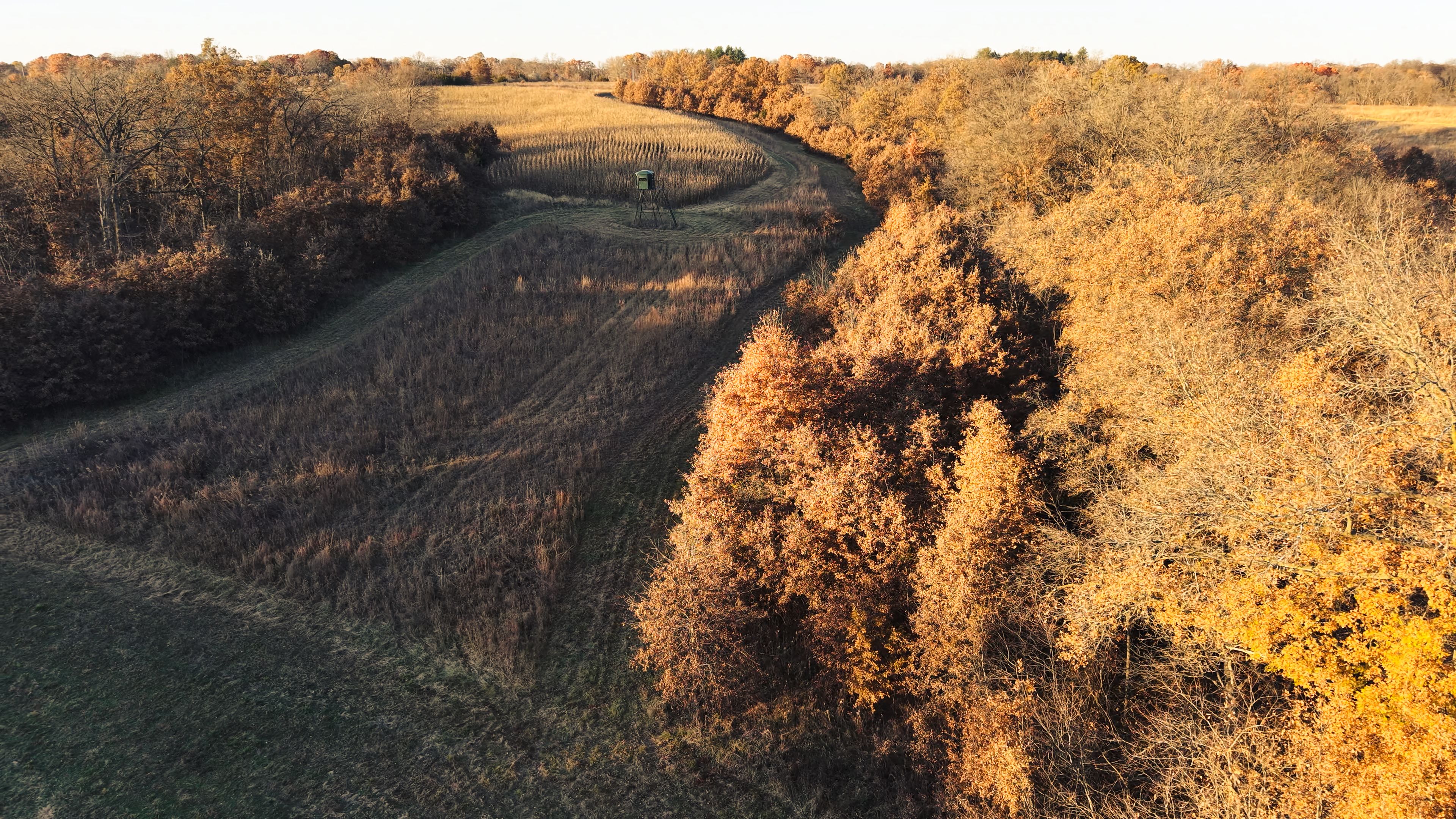 Listing Photo: DJI_20251113160222_0106_D-3