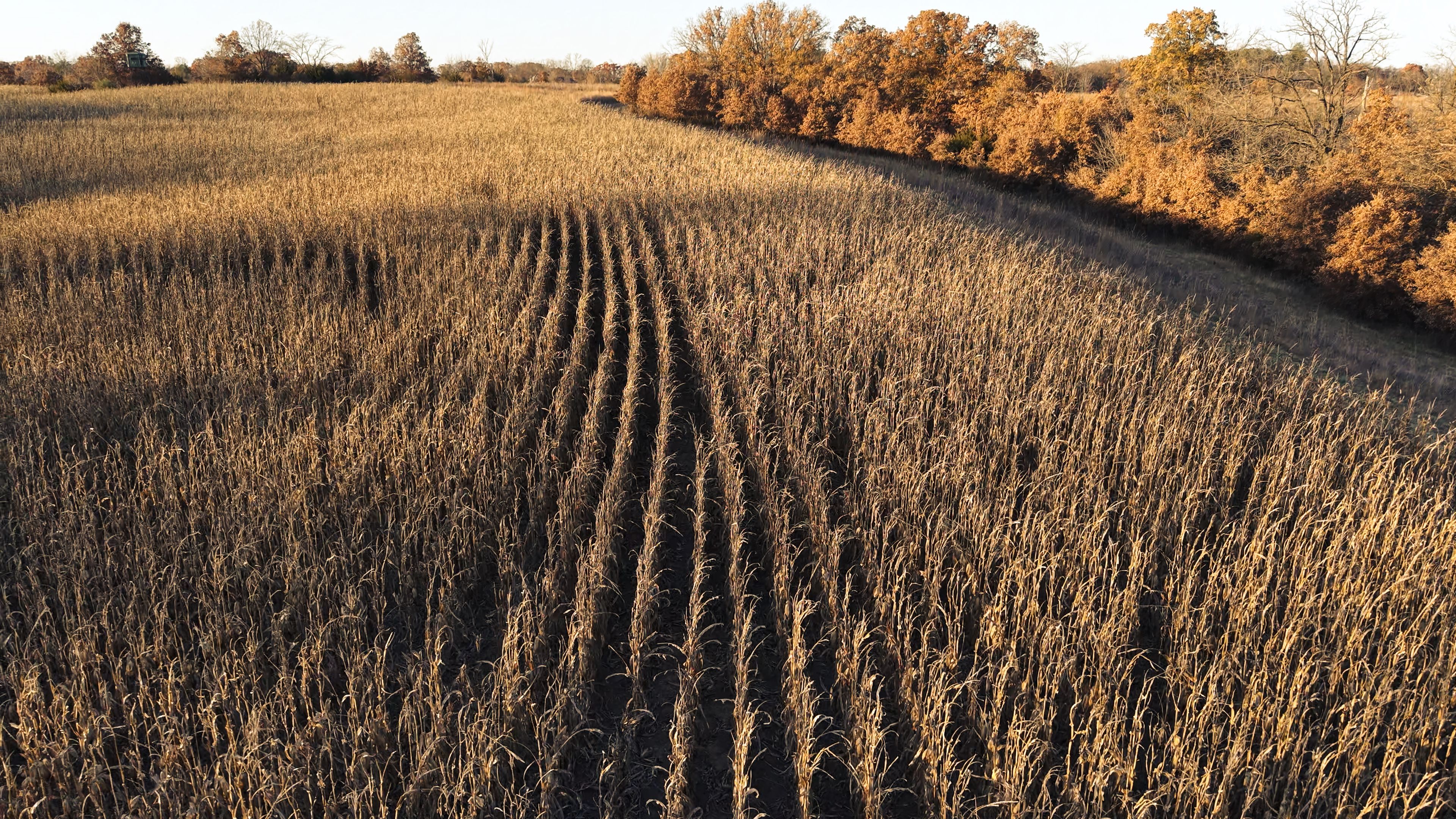 Listing Photo: DJI_20251113160349_0108_D-2