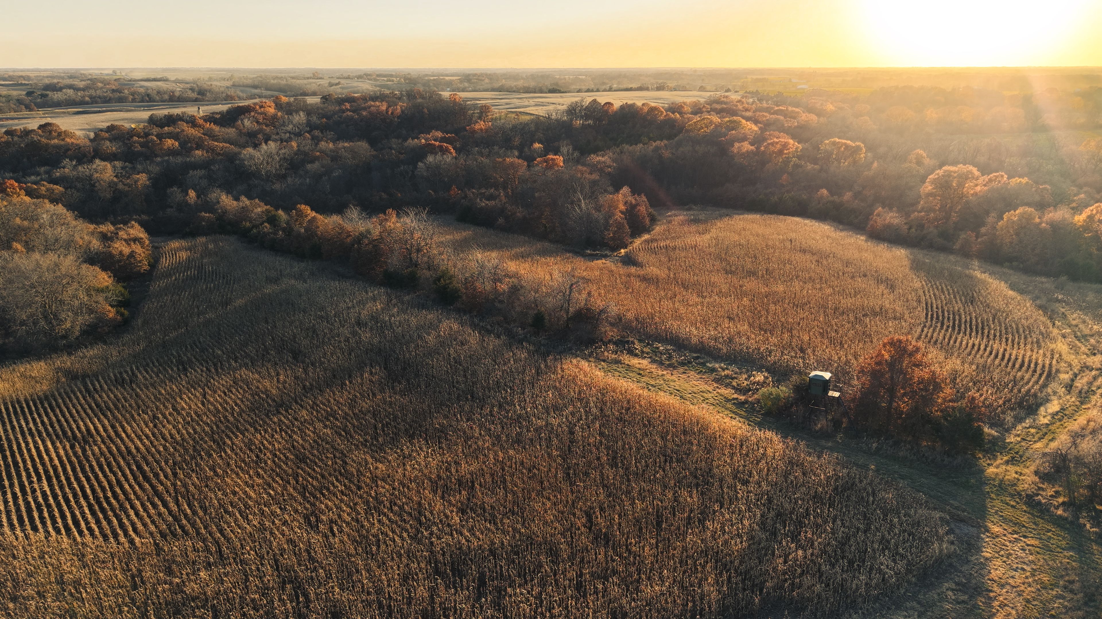 Listing Photo: DJI_20251113160349_0108_D-4